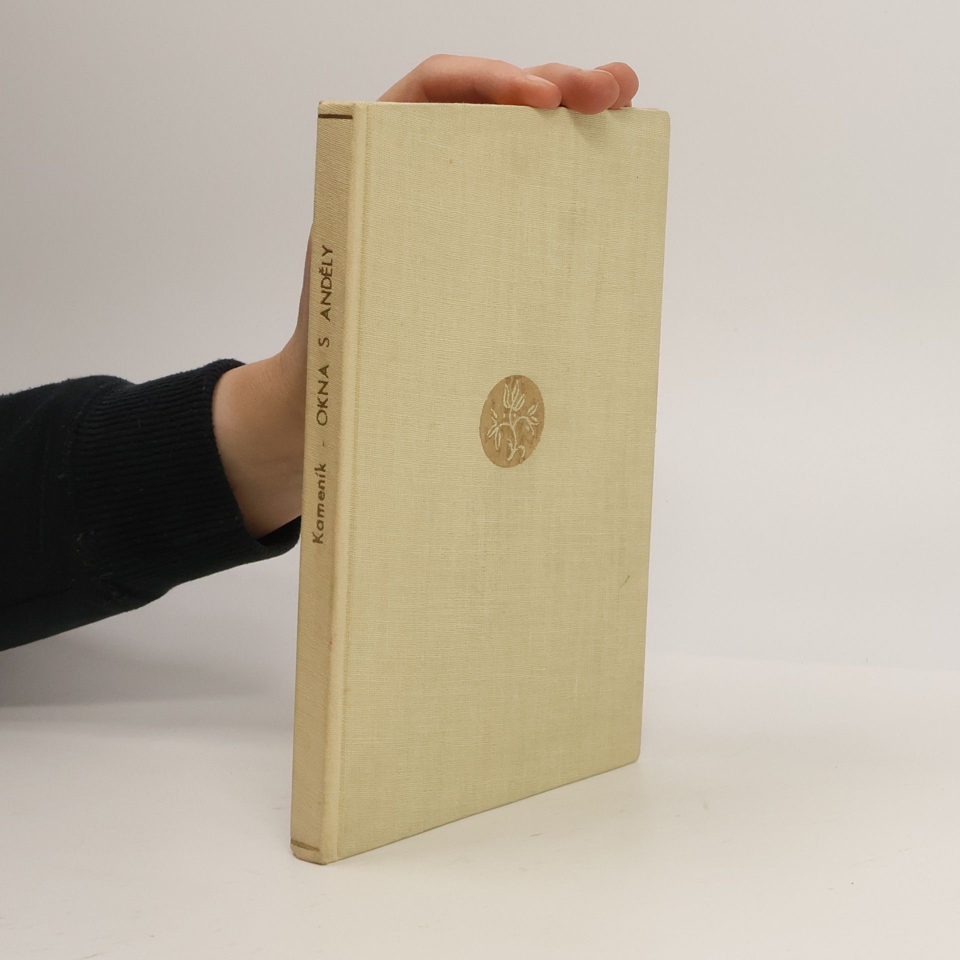 Jan Kameník Okna s anděly