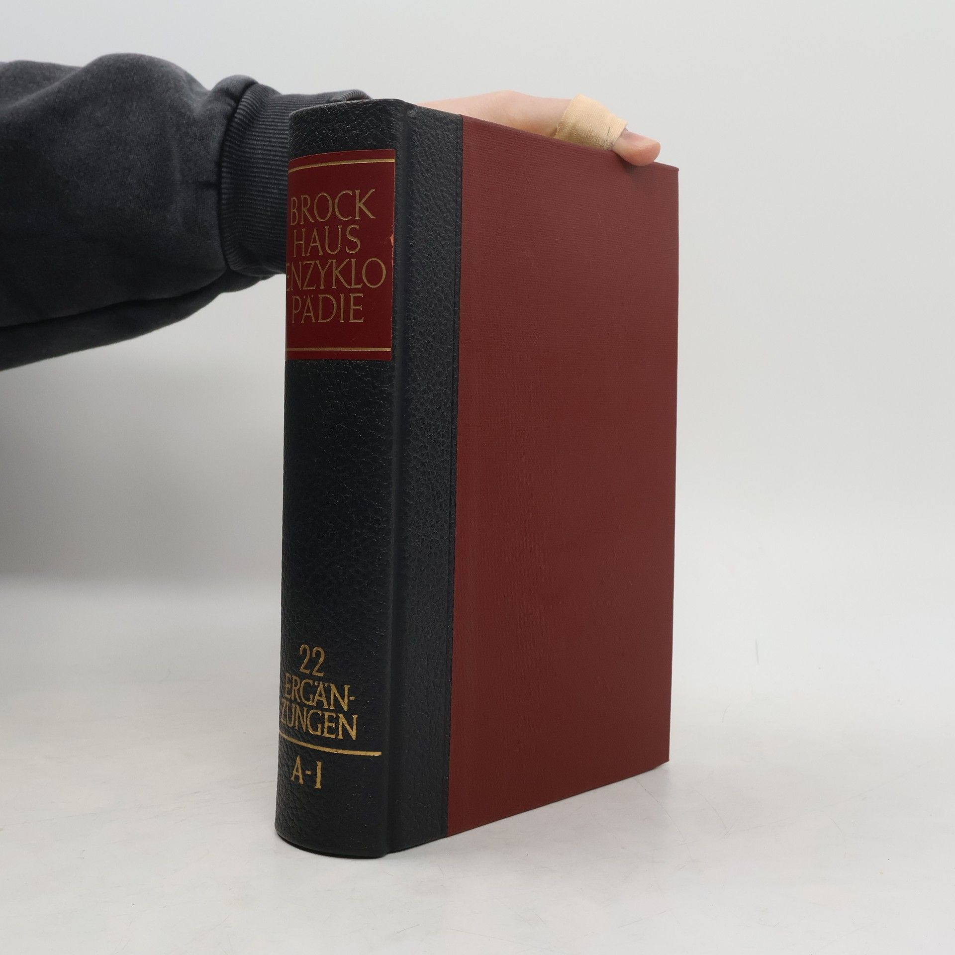 F. A. Brockhaus Brockhaus Enzyklopädie 22