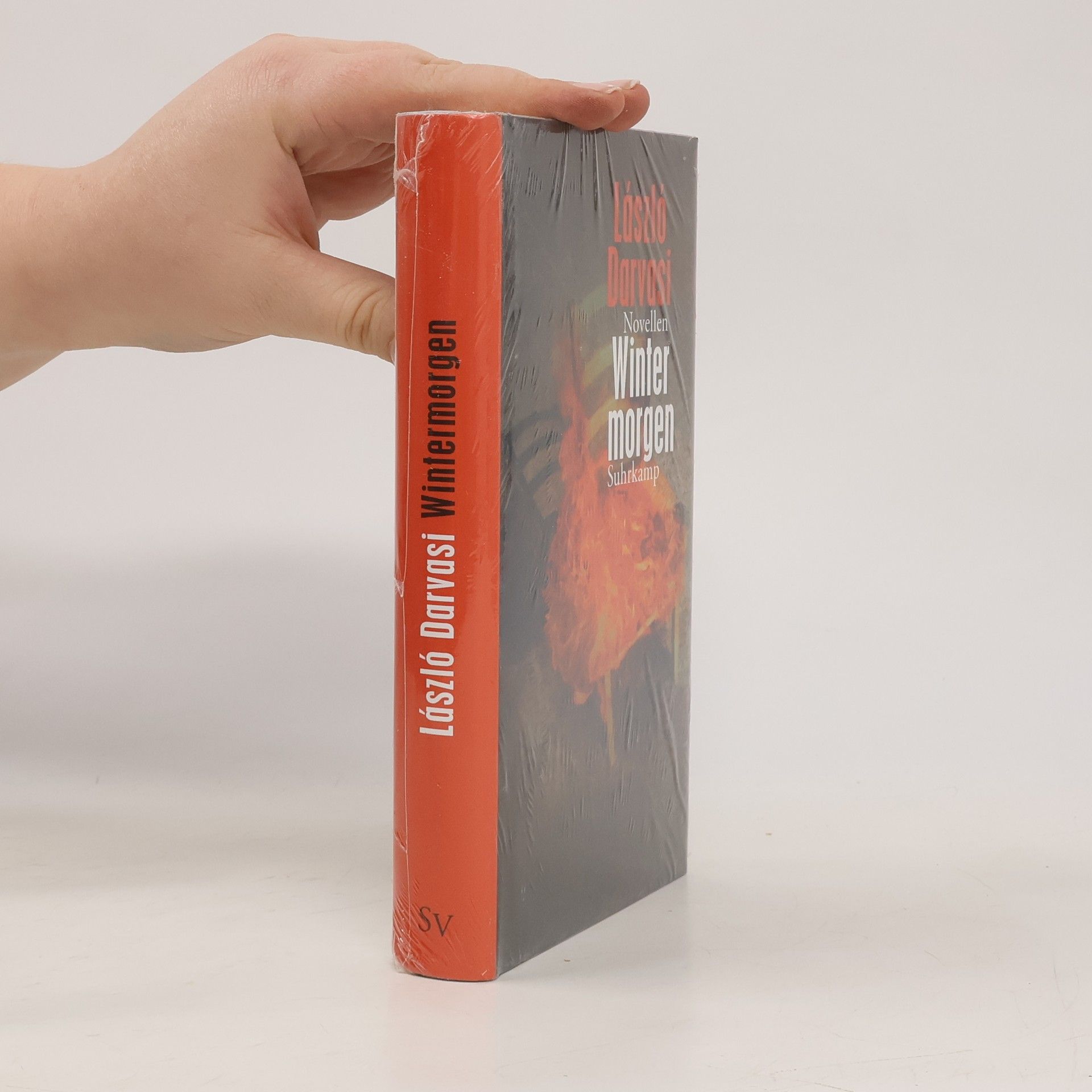 László Darvasi Wintermorgen