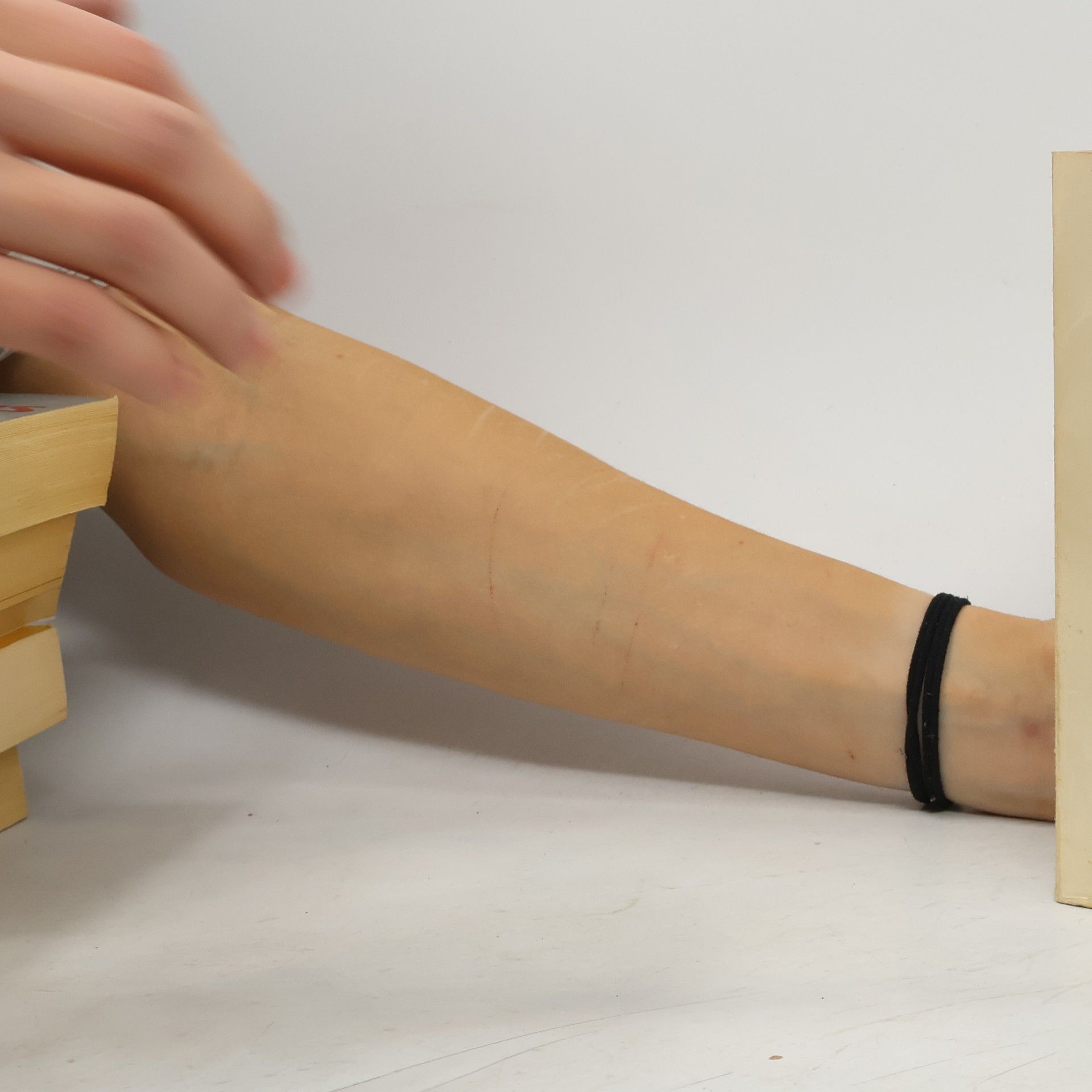 Hans Fallada Der eiserne Gustav