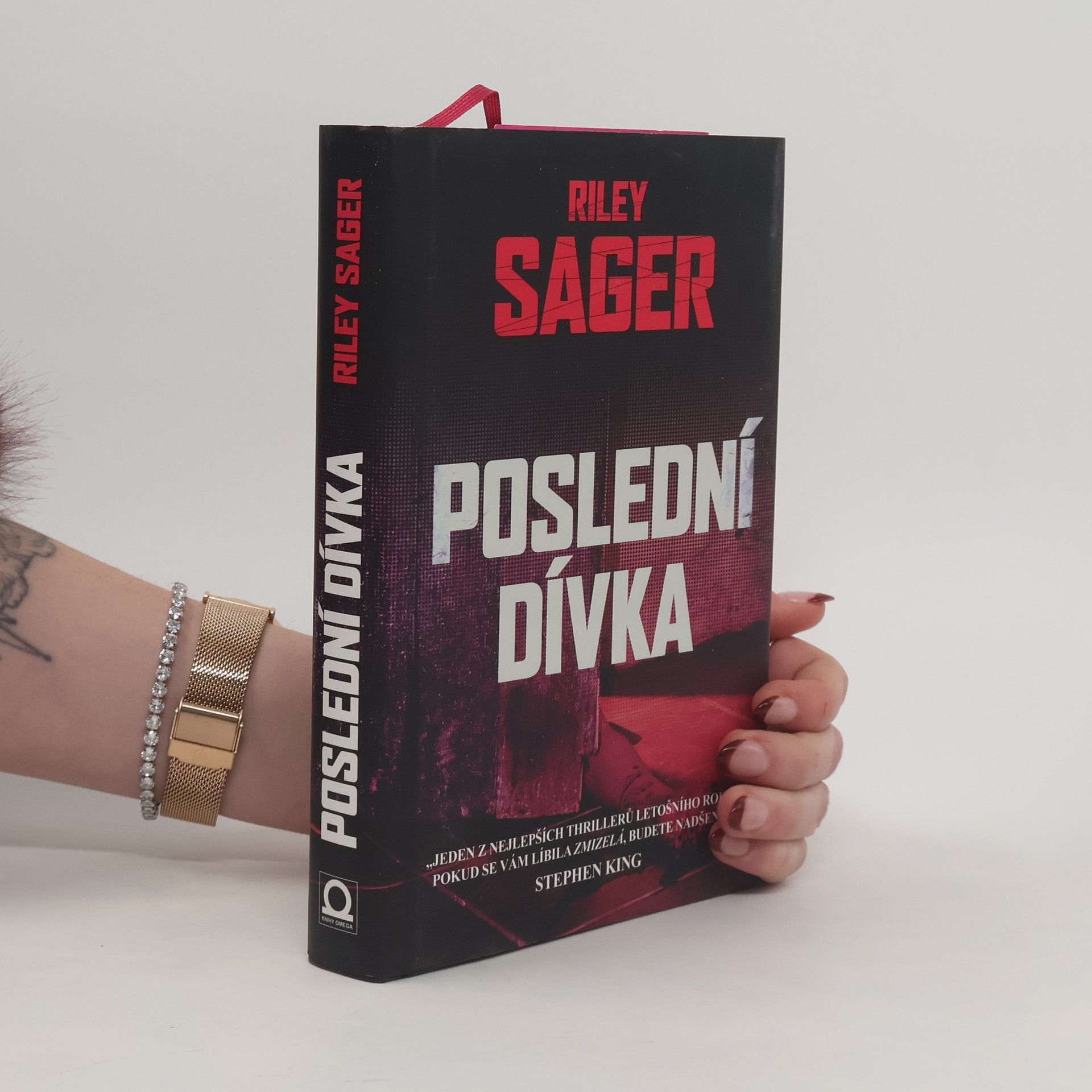 Todd Ritter Poslední dívka