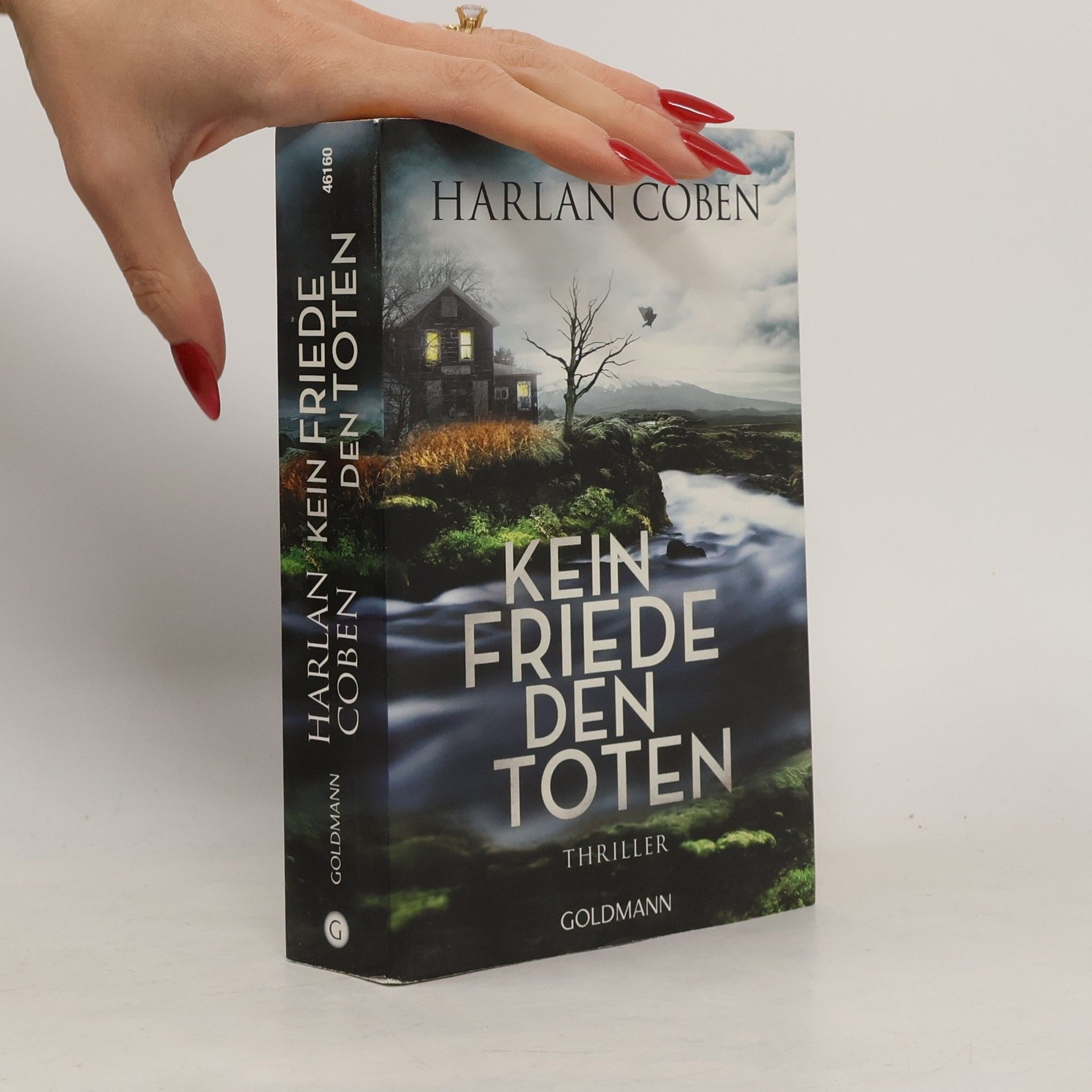 Harlan Coben Kein Friede den Toten