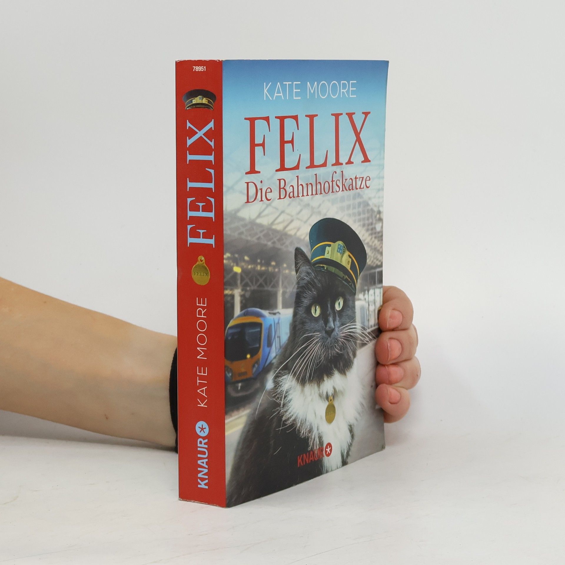 Kate Moore Felix - die Bahnhofskatze
