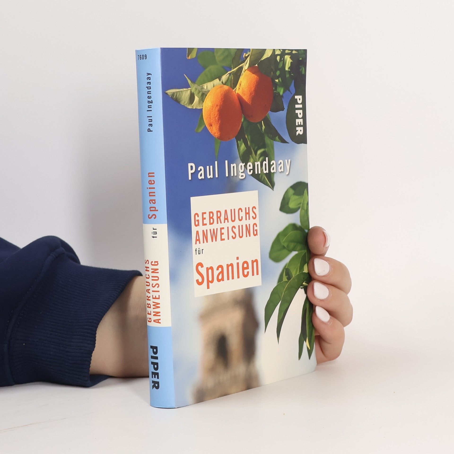 Paul Ingendaay Gebrauchsanweisung für Spanien
