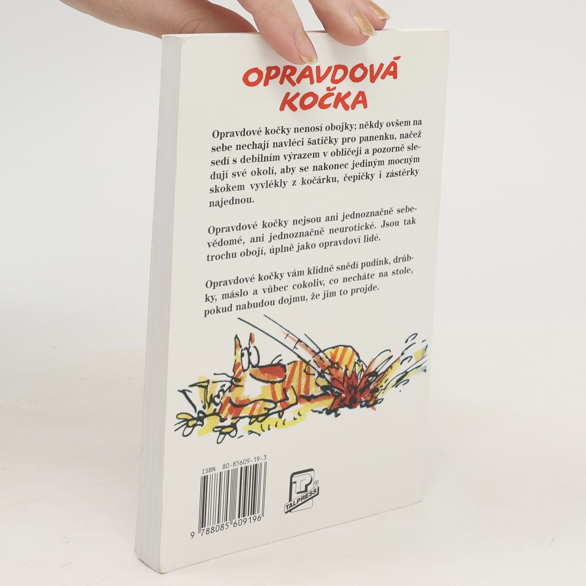 Terry Pratchett Nefalšovaná kočka