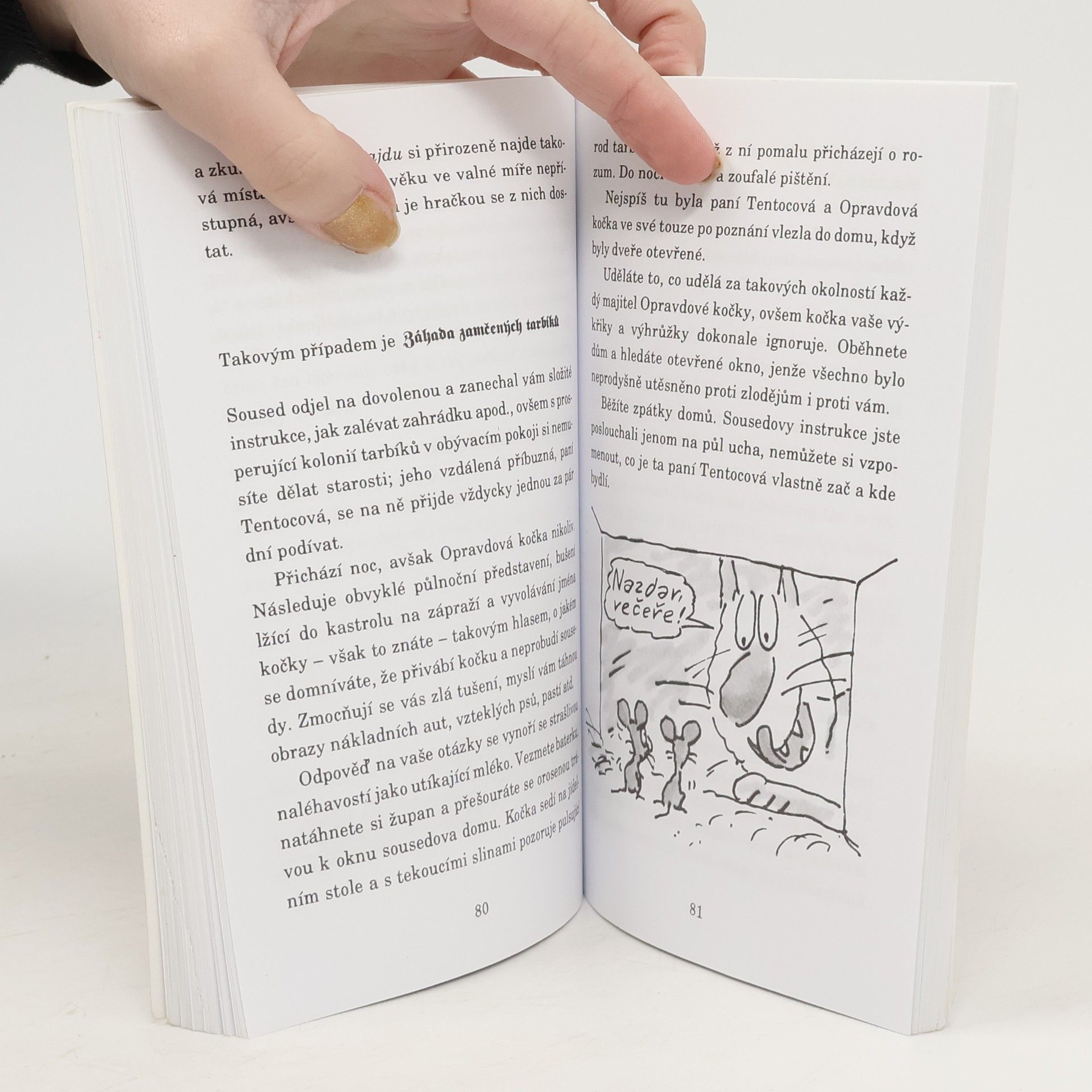 Terry Pratchett Nefalšovaná kočka