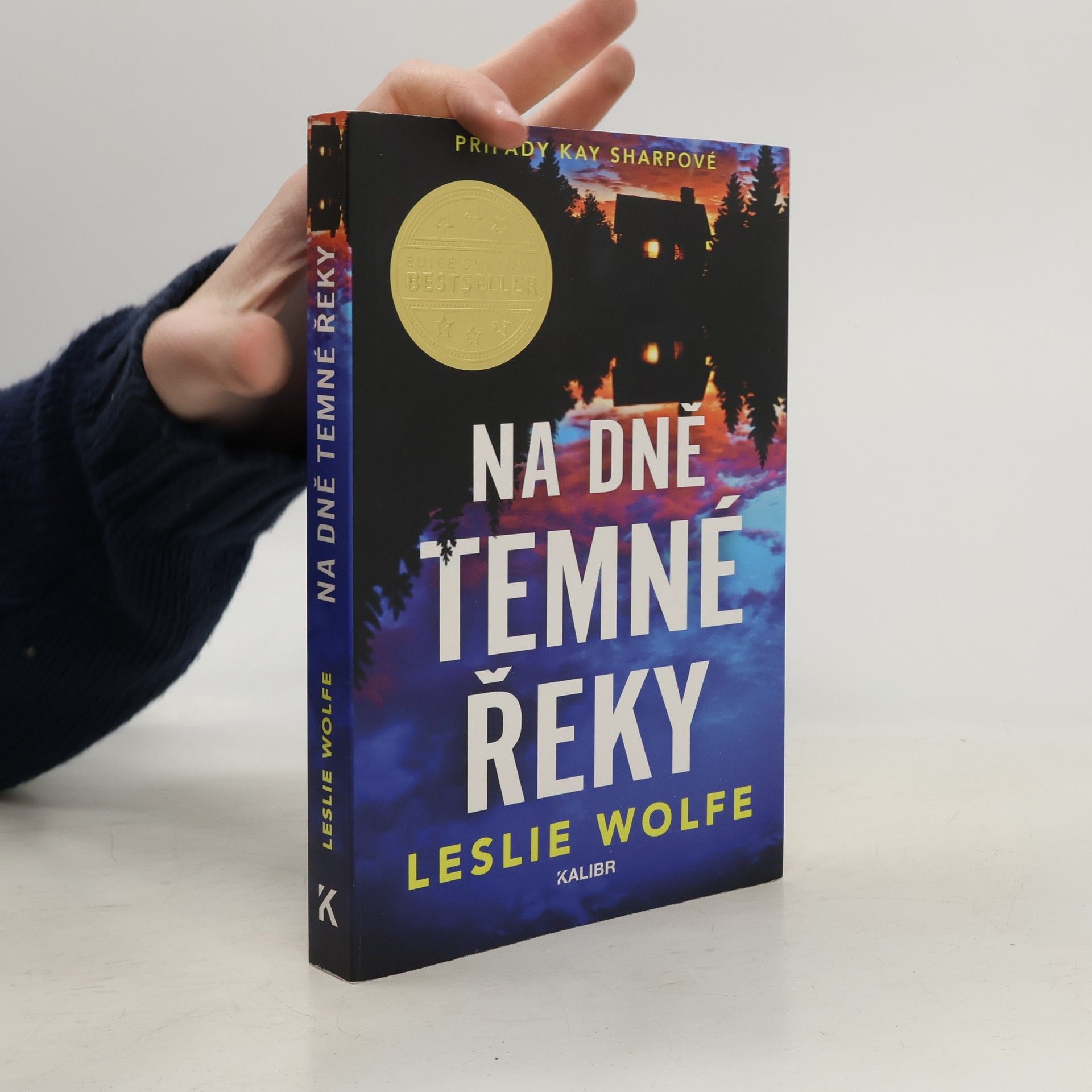 Leslie Wolfe Na dně Temné řeky