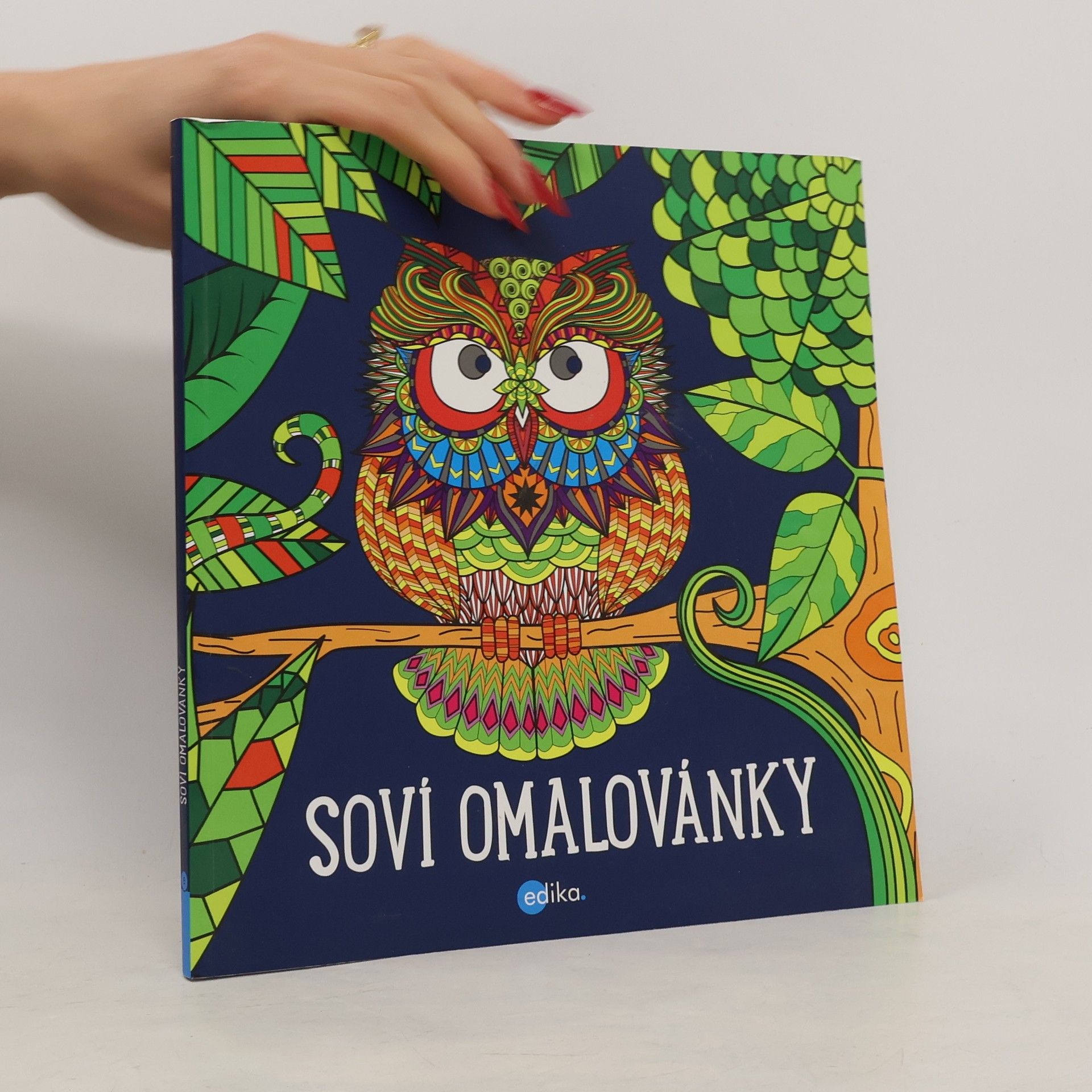 Kolektiv autorů Soví omalovánky