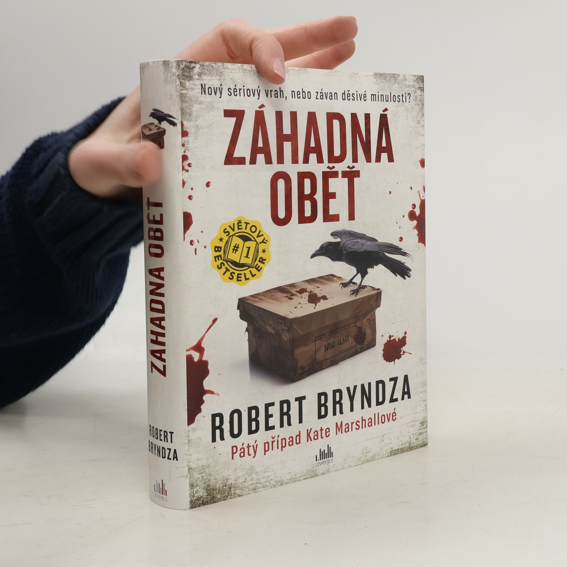 Robert Bryndza Záhadná oběť