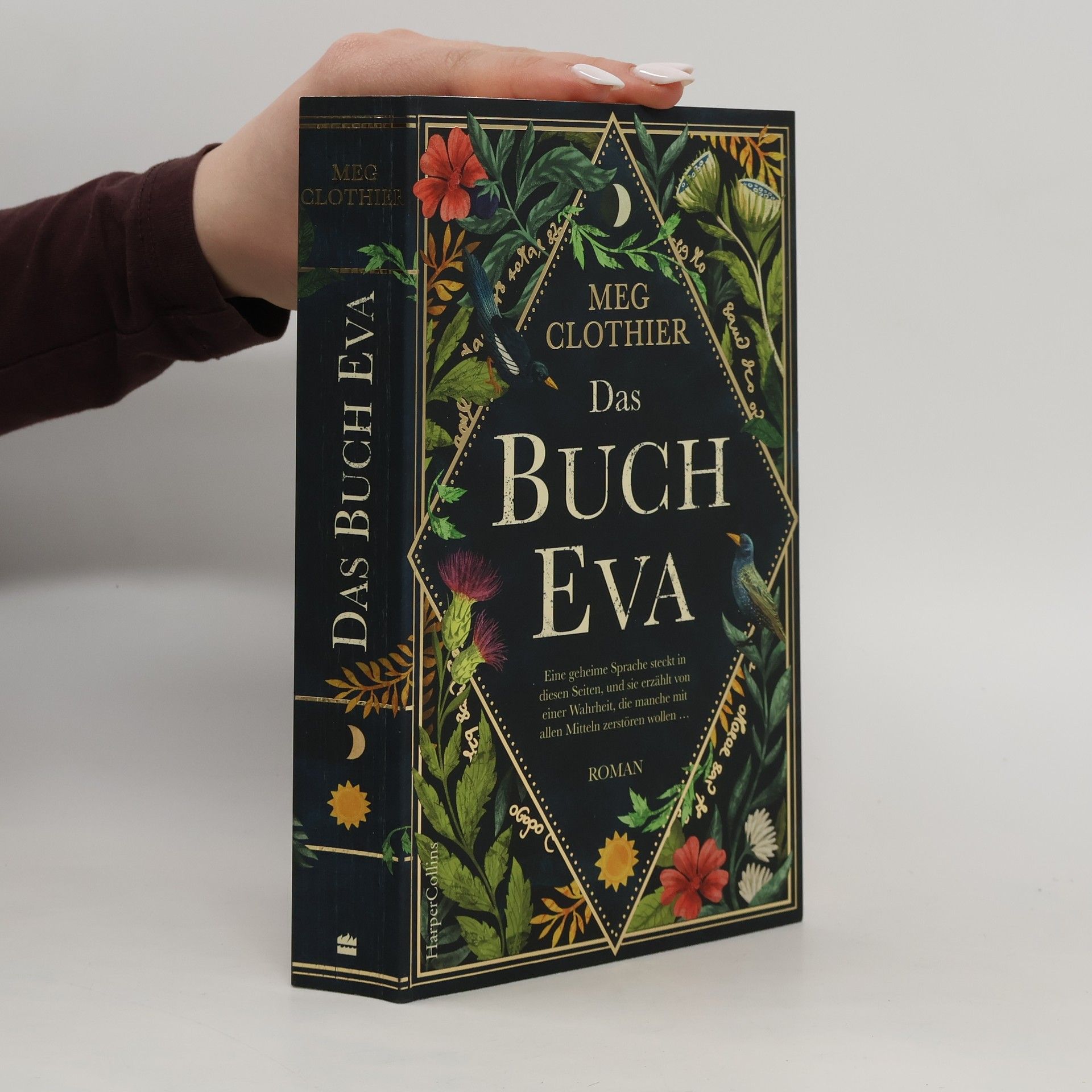 Meg Clothier Das Buch Eva