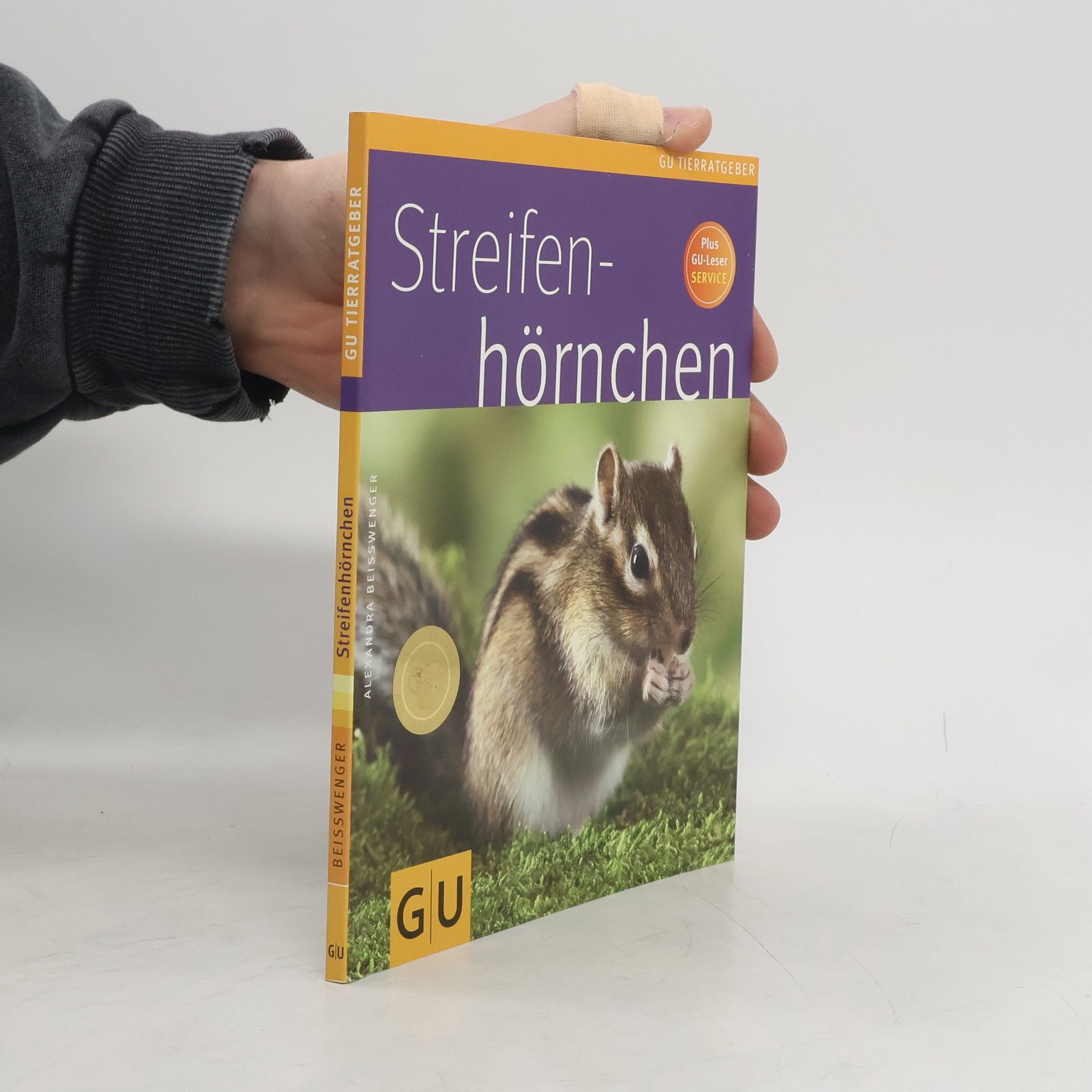 Alexandra Beißwenger Streifenhörnchen