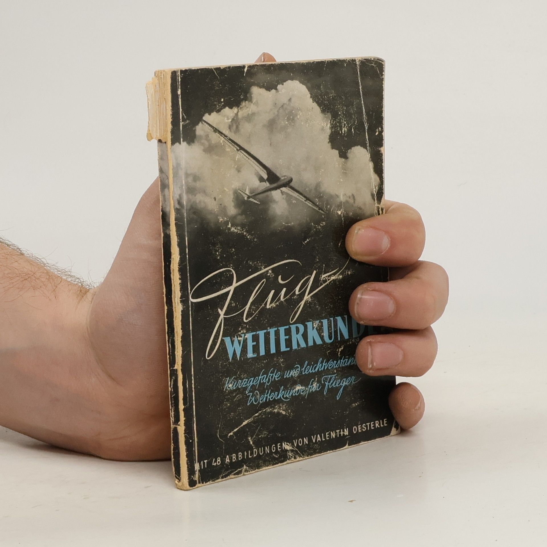 Valentin Oesterle Flugwetterkunde