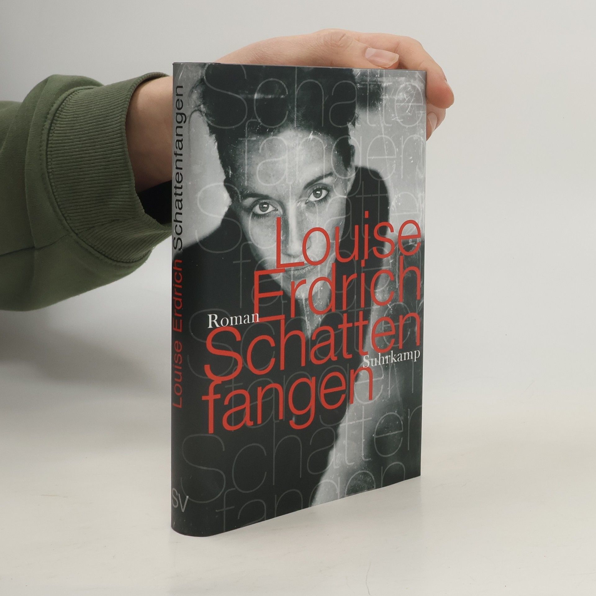Louise Erdrich Schattenfangen