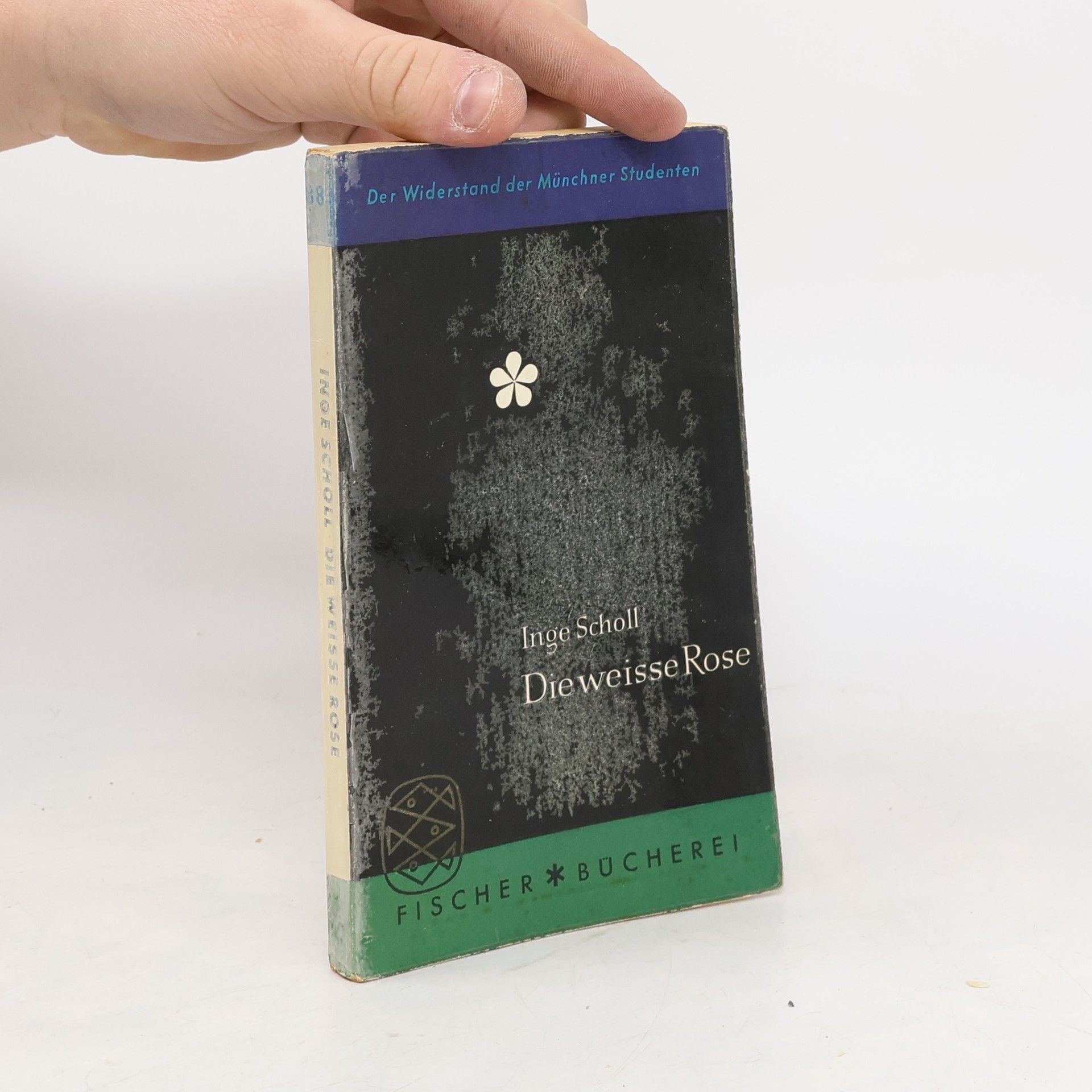 Inge Scholl Die weisse Rose