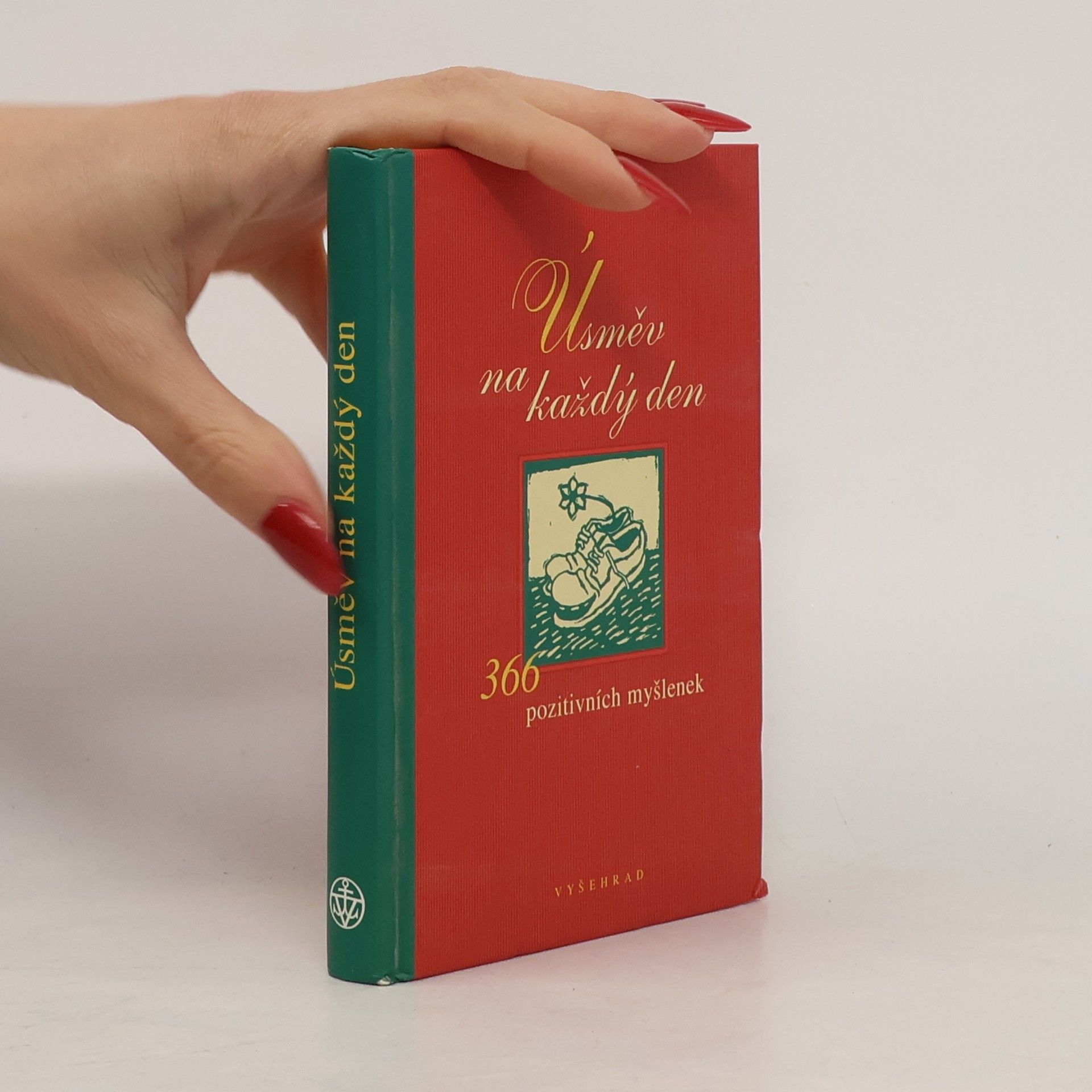 Fabian Bergmann Úsměv na každý den