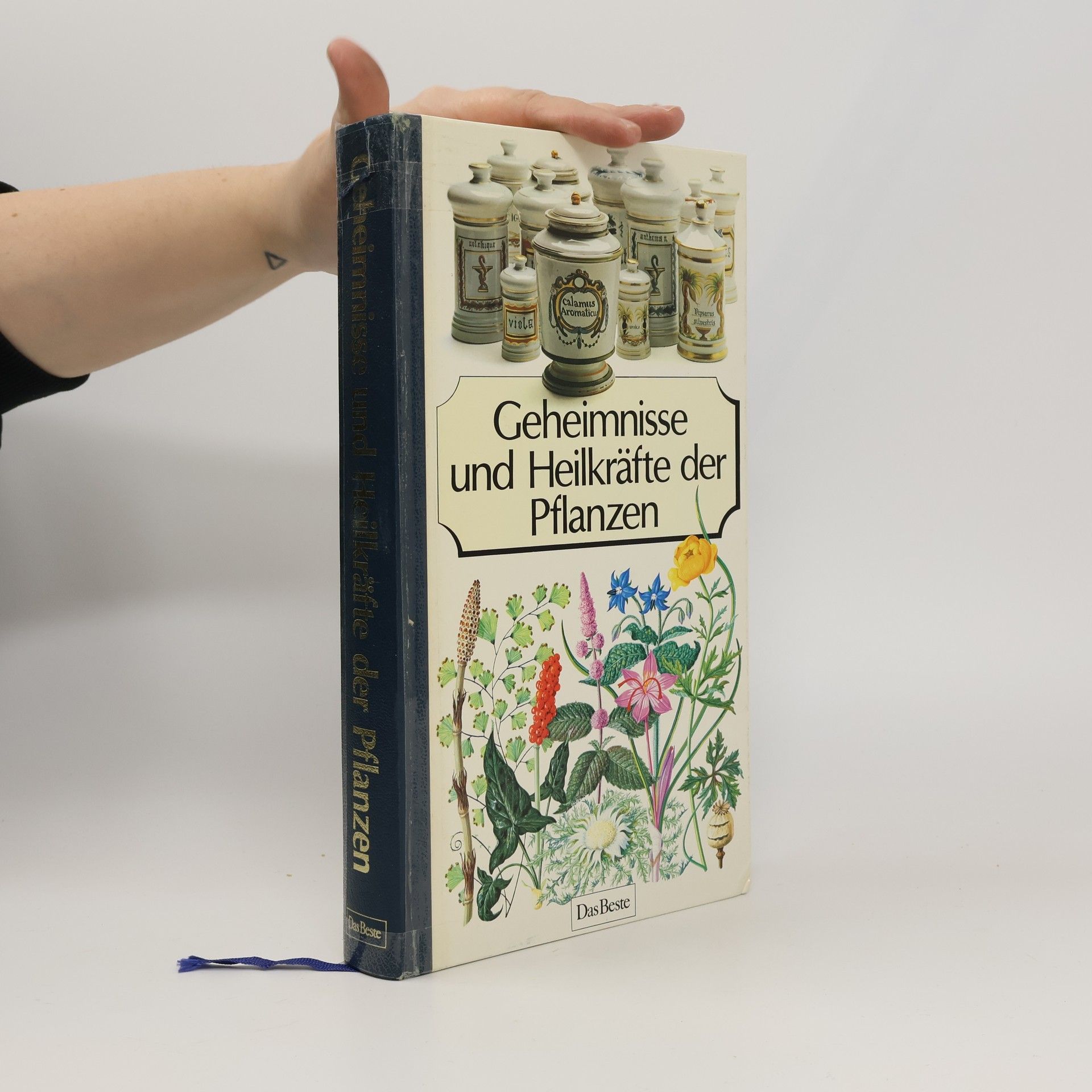 Auteurscollectief Geheimnisse und Heilkräfte der Pflanzen