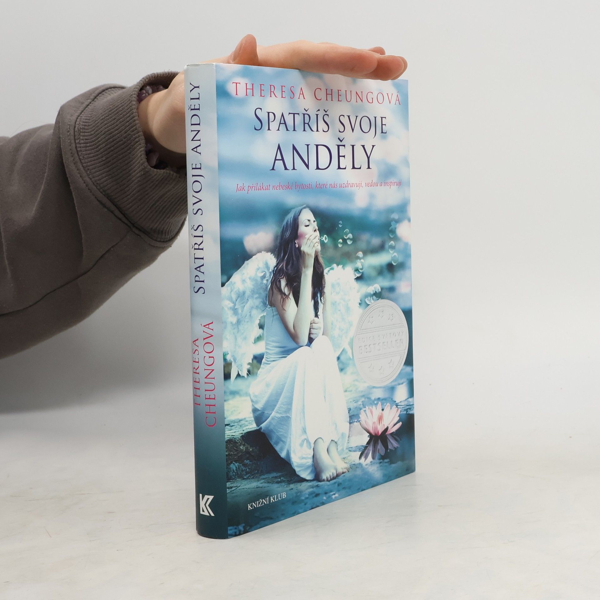 Theresa Francis-Cheung Spatříš svoje anděly. Jak přilákat nebeské bytosti, které nás uzdravují, vedou a inspirují