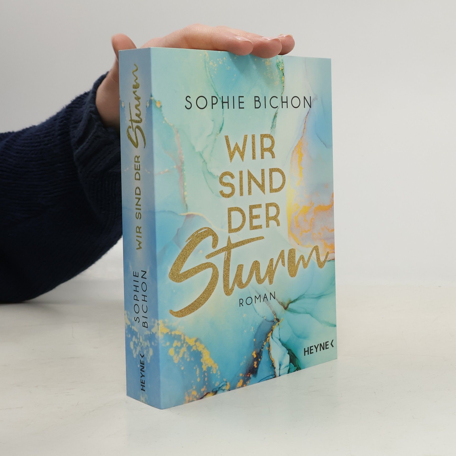 Sophie Bichon Redstone-Reihe 2. Wir sind der Sturm