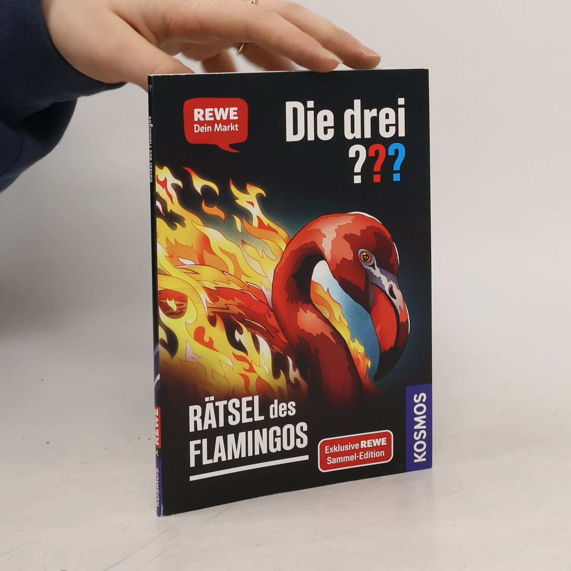 Andreas Ruch Die drei??? Rätsel des Flamingos