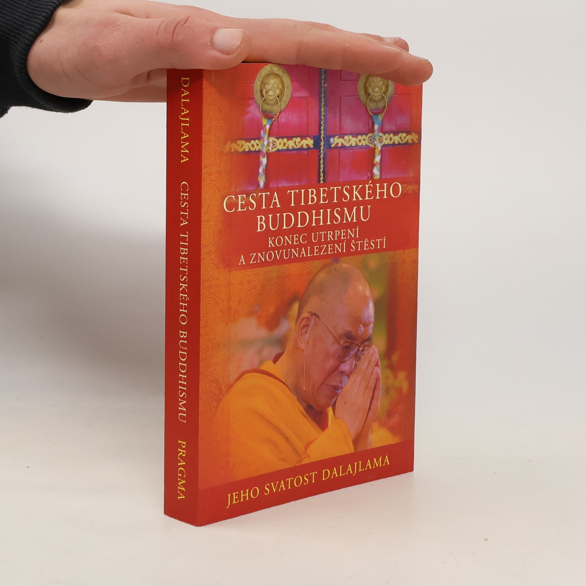 Dalajlama Cesta tibetského buddhismu: Konec utrpení a znovunalezení štěstí