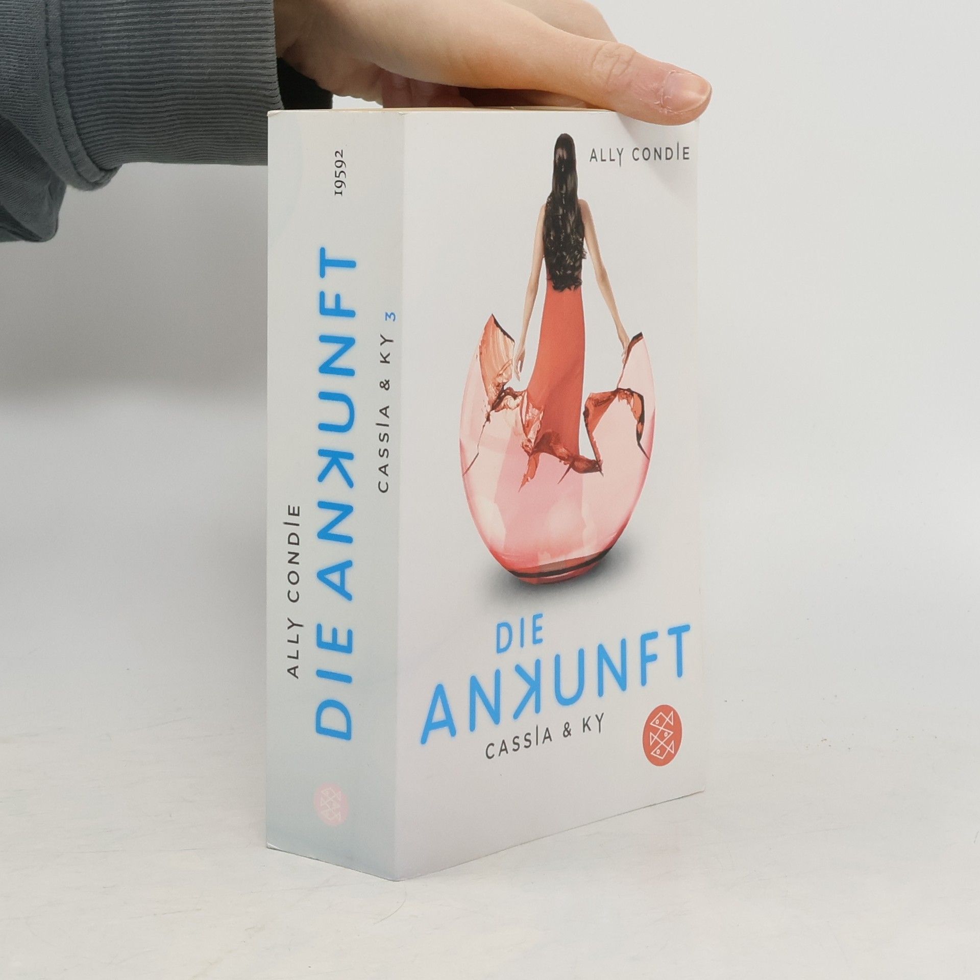 Die Ankunft