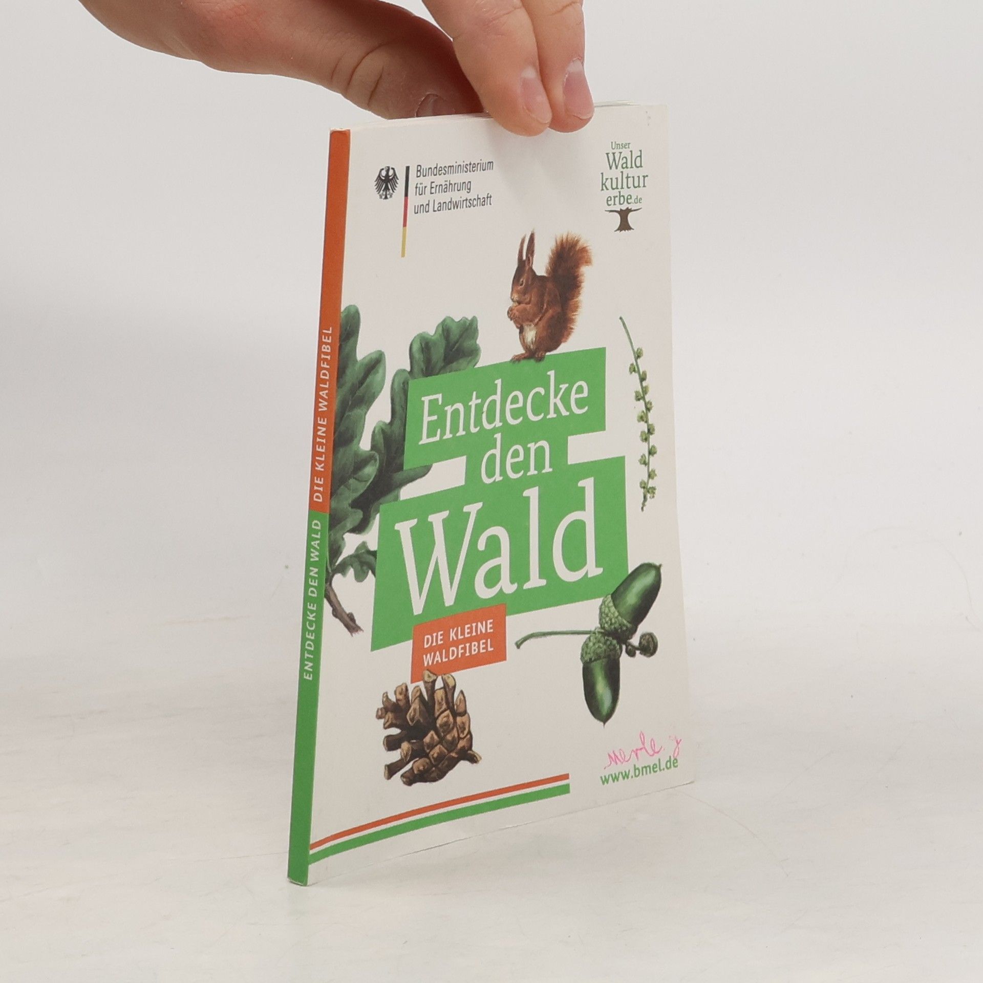 Kolektiv autorů Entdecke den Wald. Die kleine Waldfibel