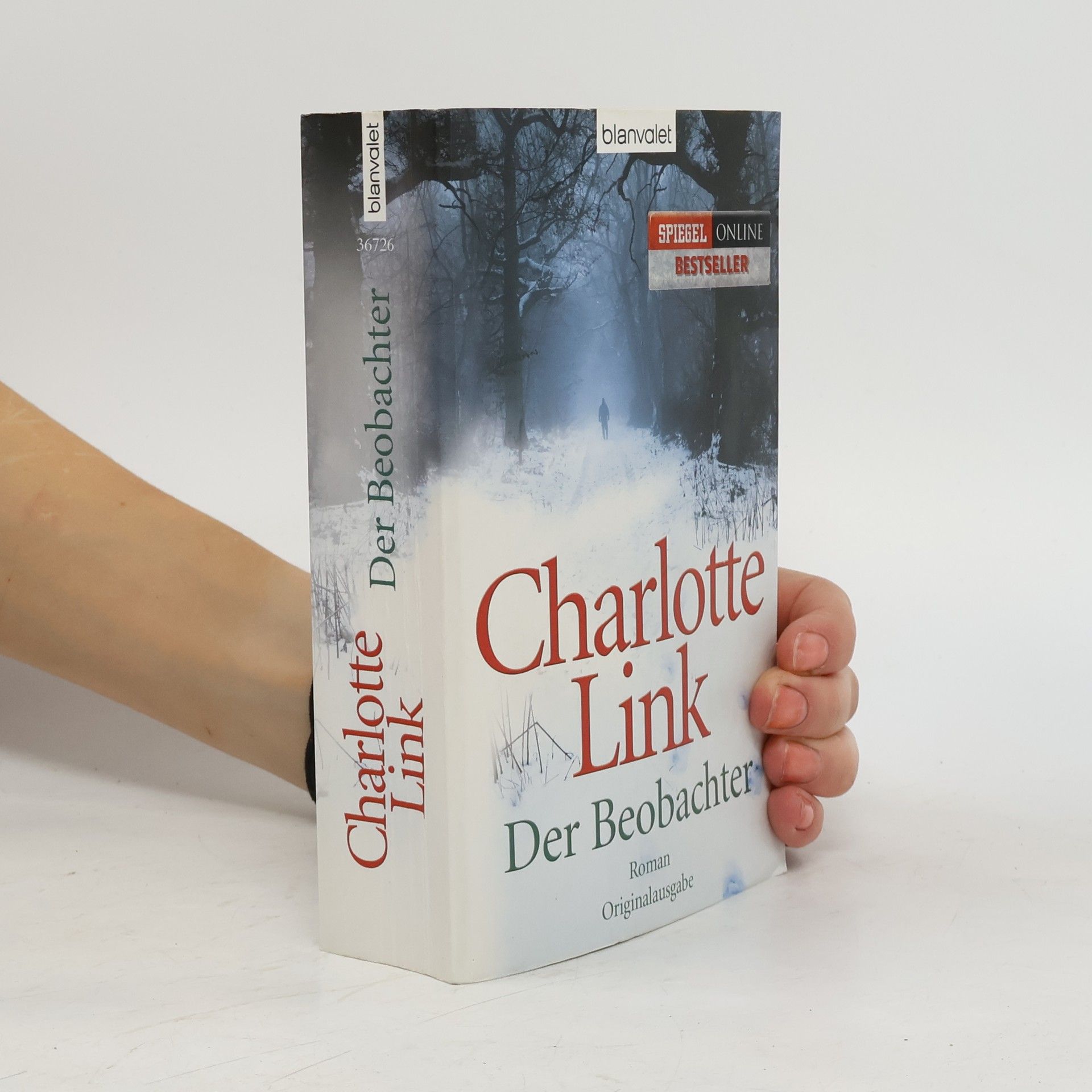 Der Beobachter : Roman