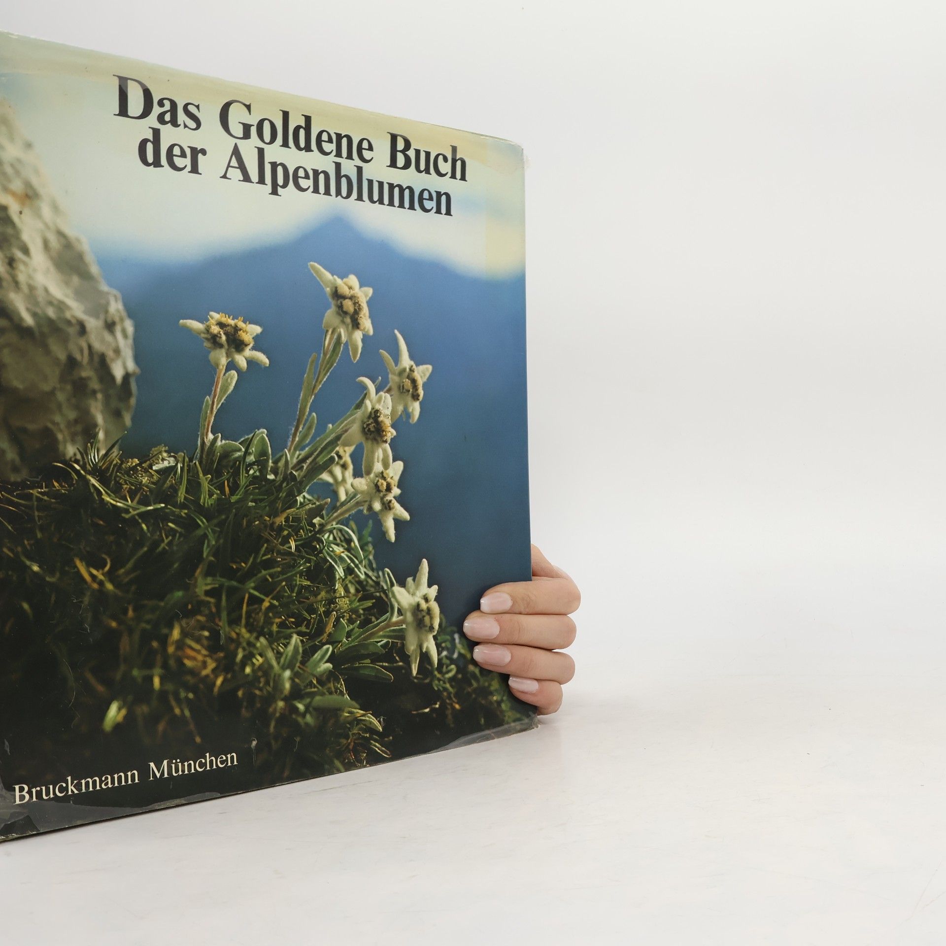Georg Zwerger Das goldene Buch der Alpenblumen