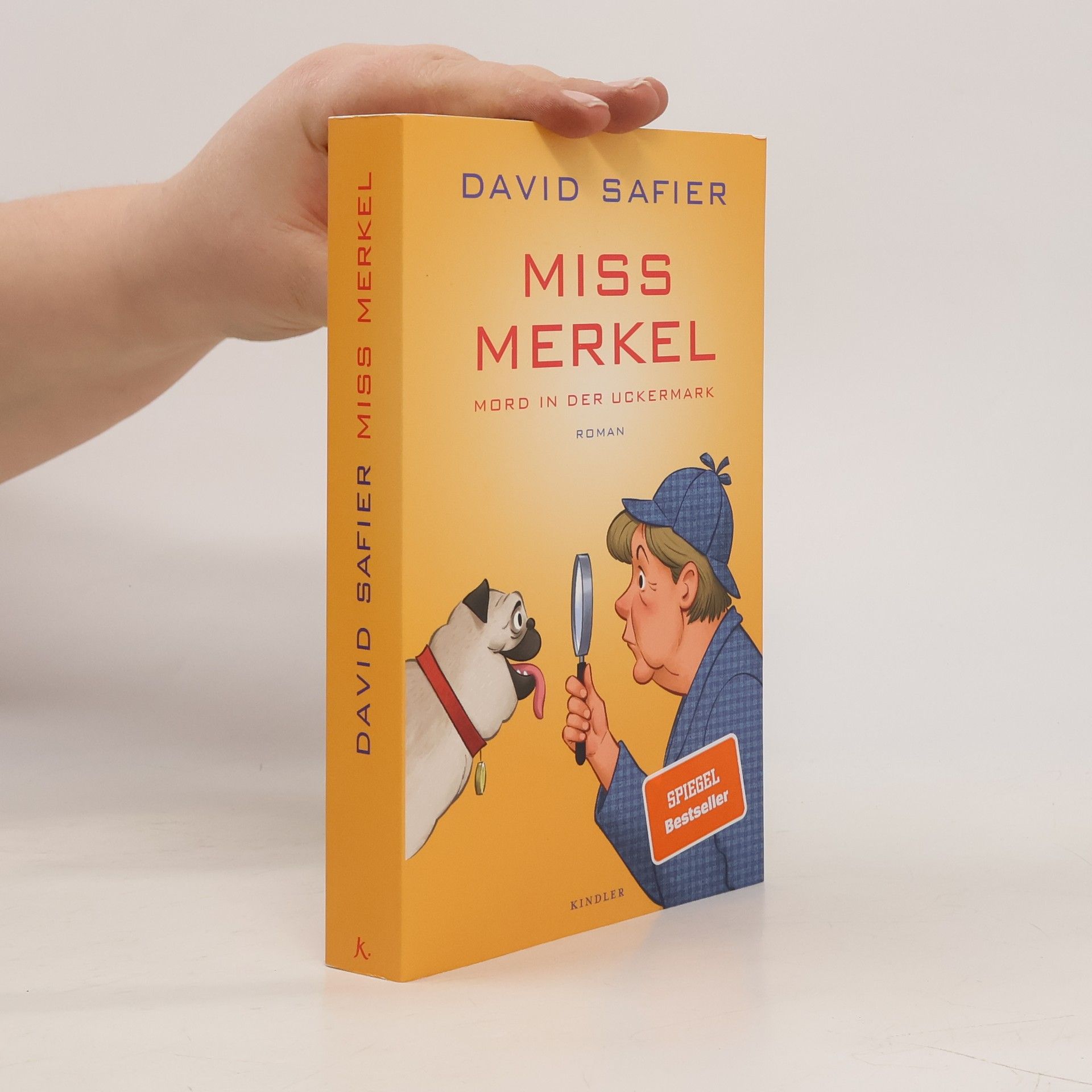 David Safier Miss Merkel