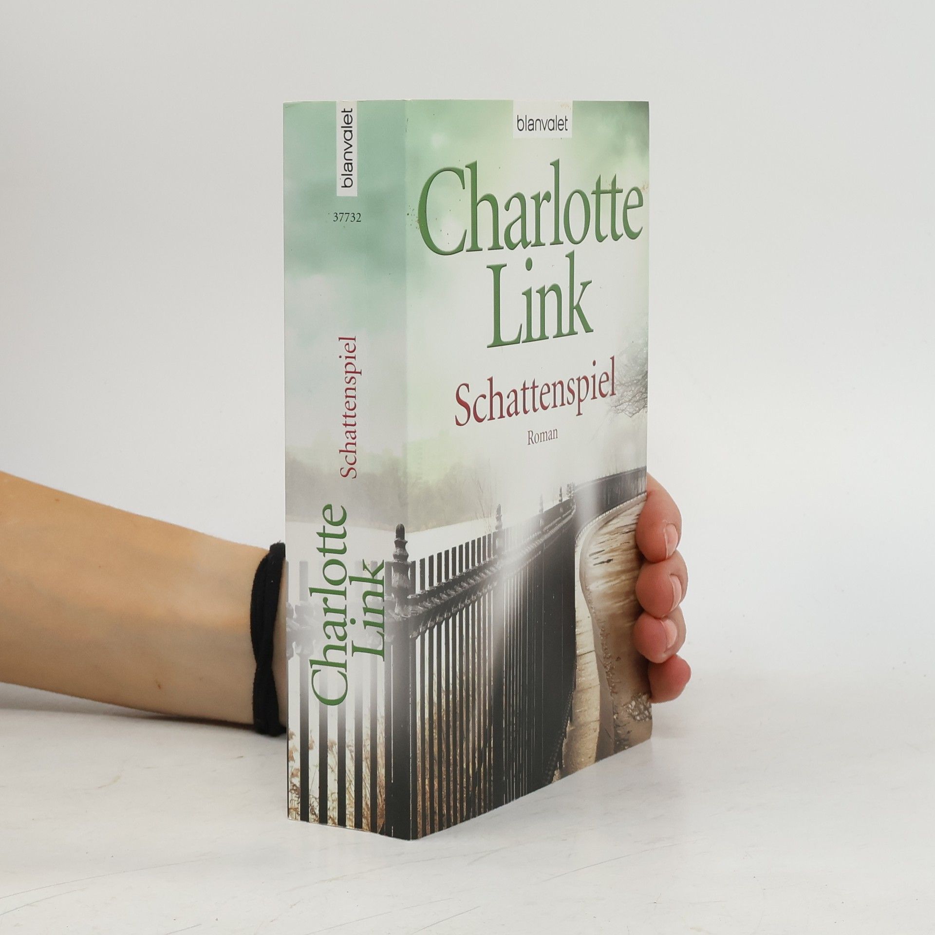 Charlotte Link Schattenspiel