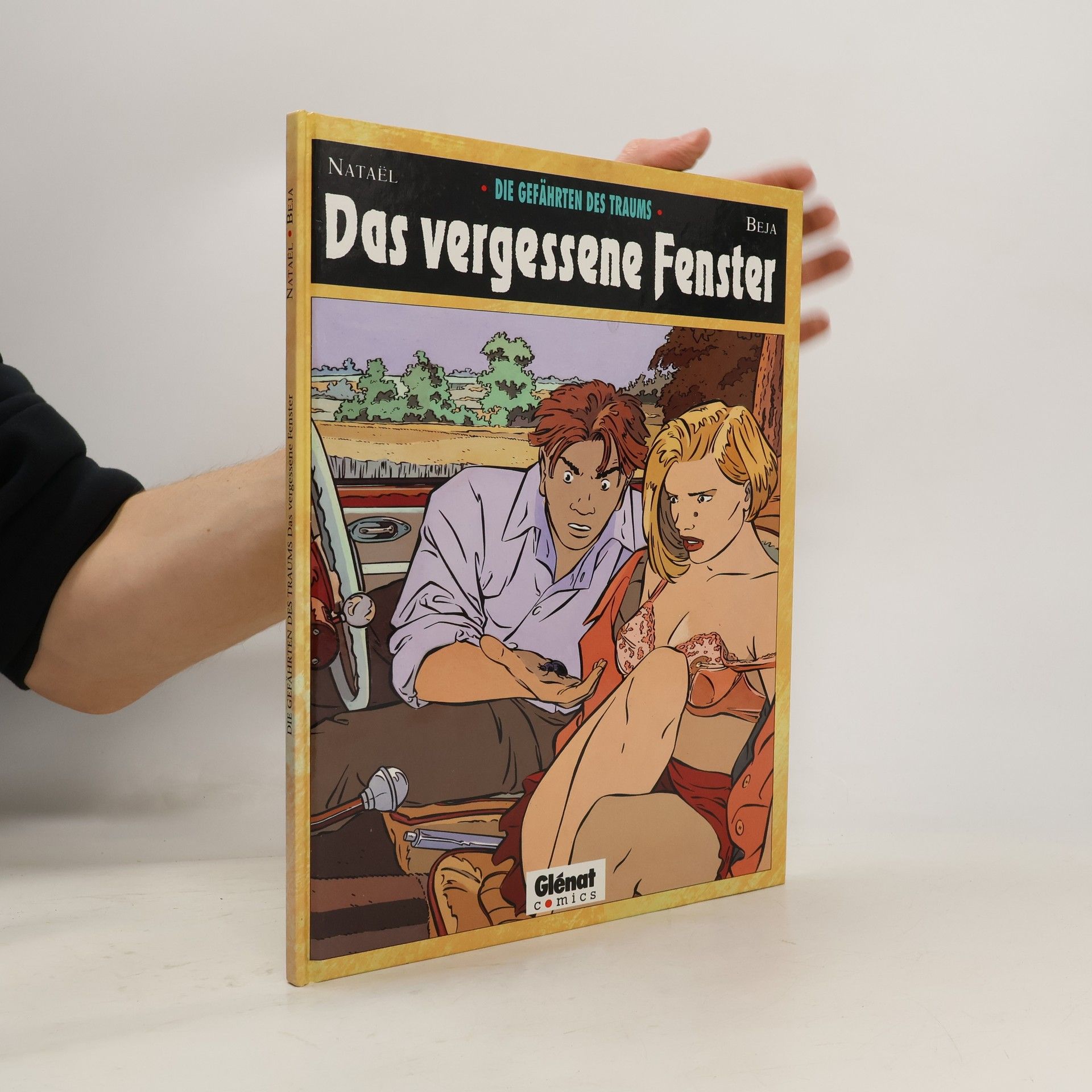 Die Gefährten des Traums Das vergessene Fenster