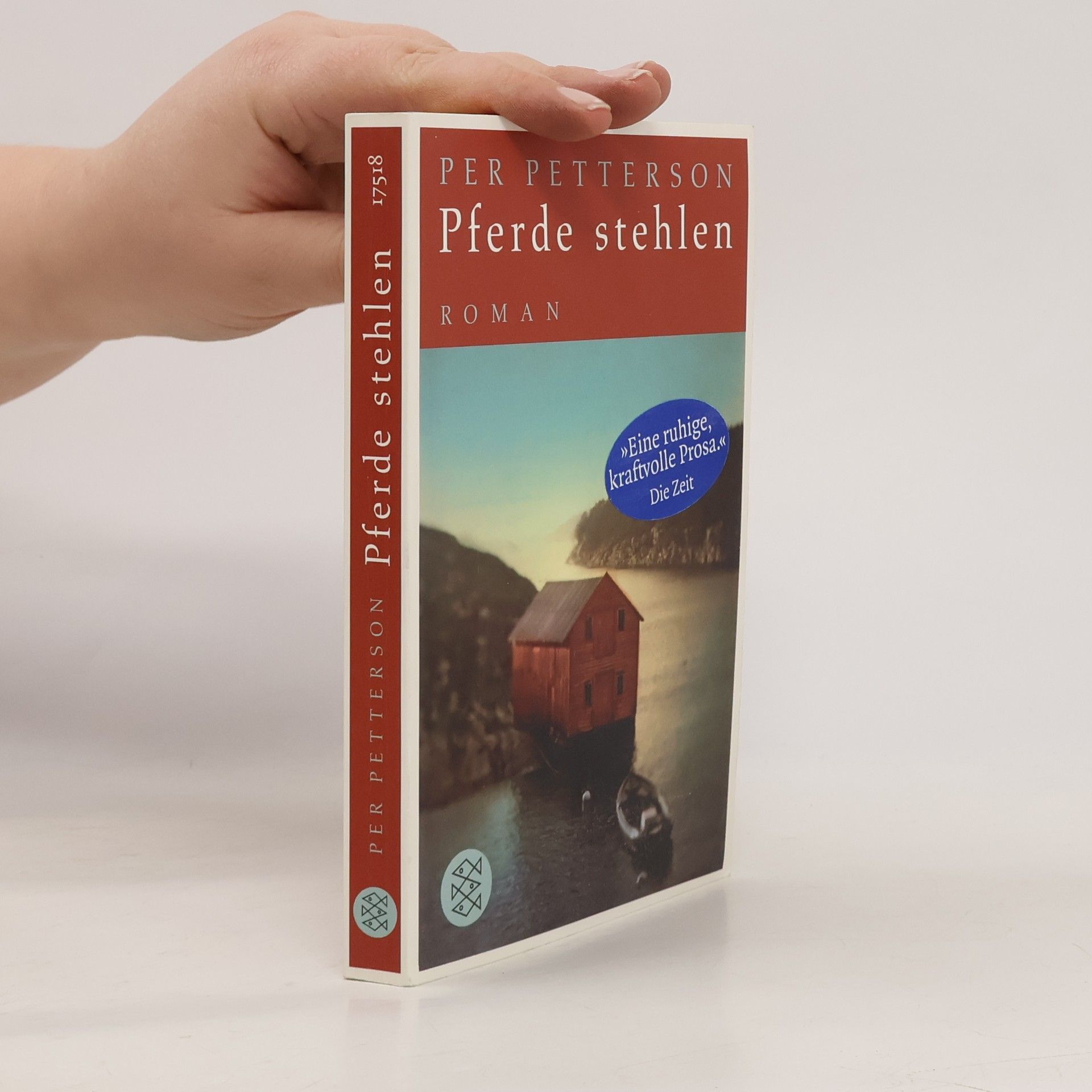 Per Petterson Pferde stehlen