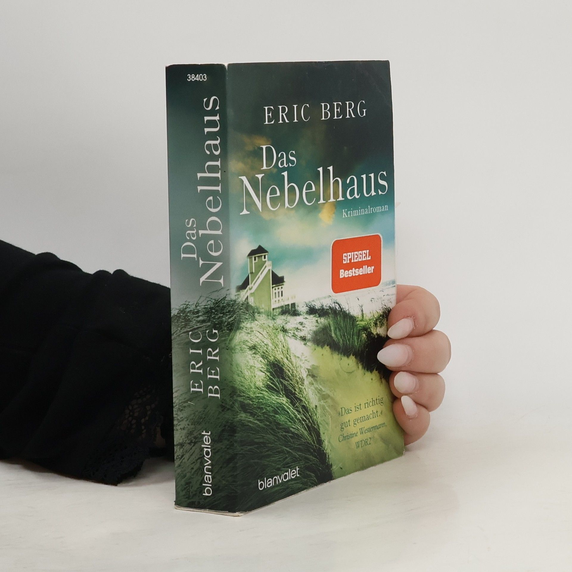 Eric Berg Das Nebelhaus