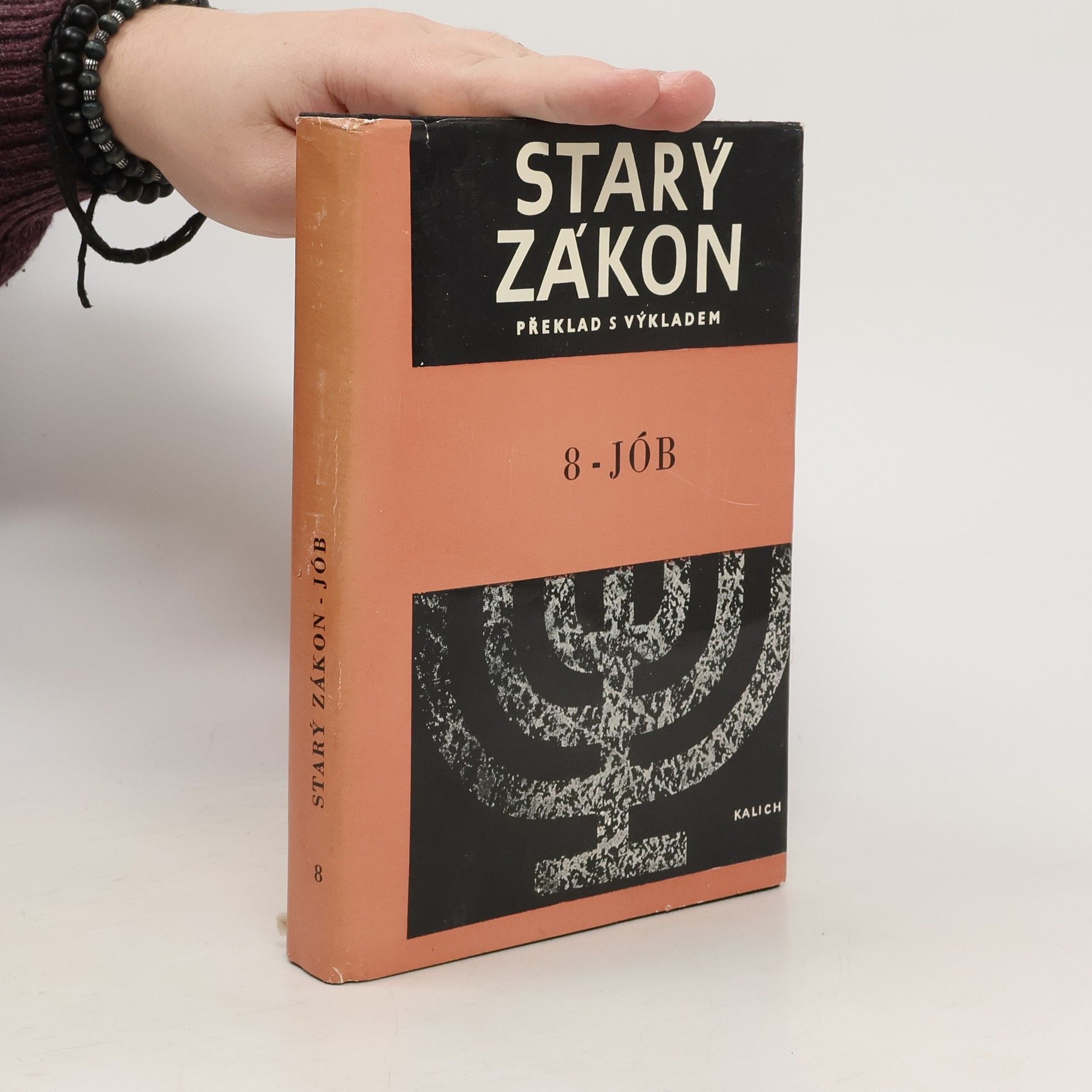 Collectif d'auteurs Starý zákon 8. Jób