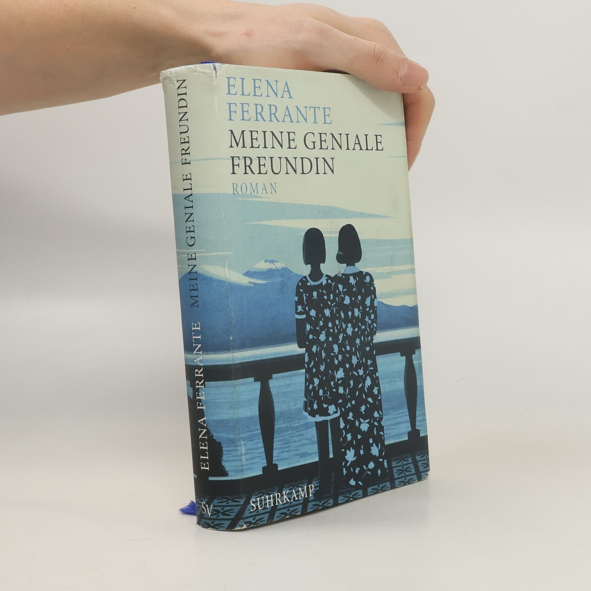 Elena Ferrante Meine geniale Freundin