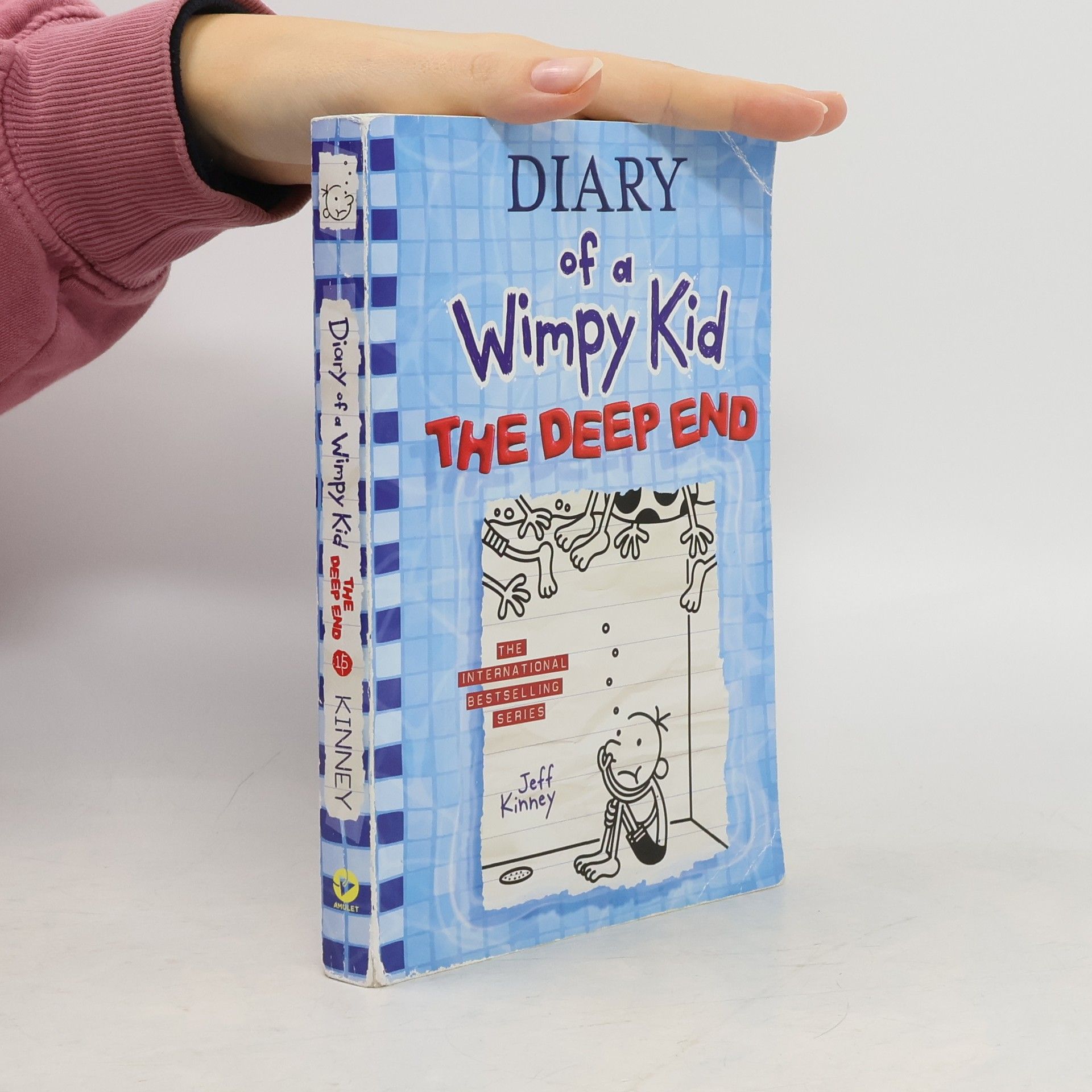 Jeff Kinney Diary of a Wimpy Kid 15. The Deep End