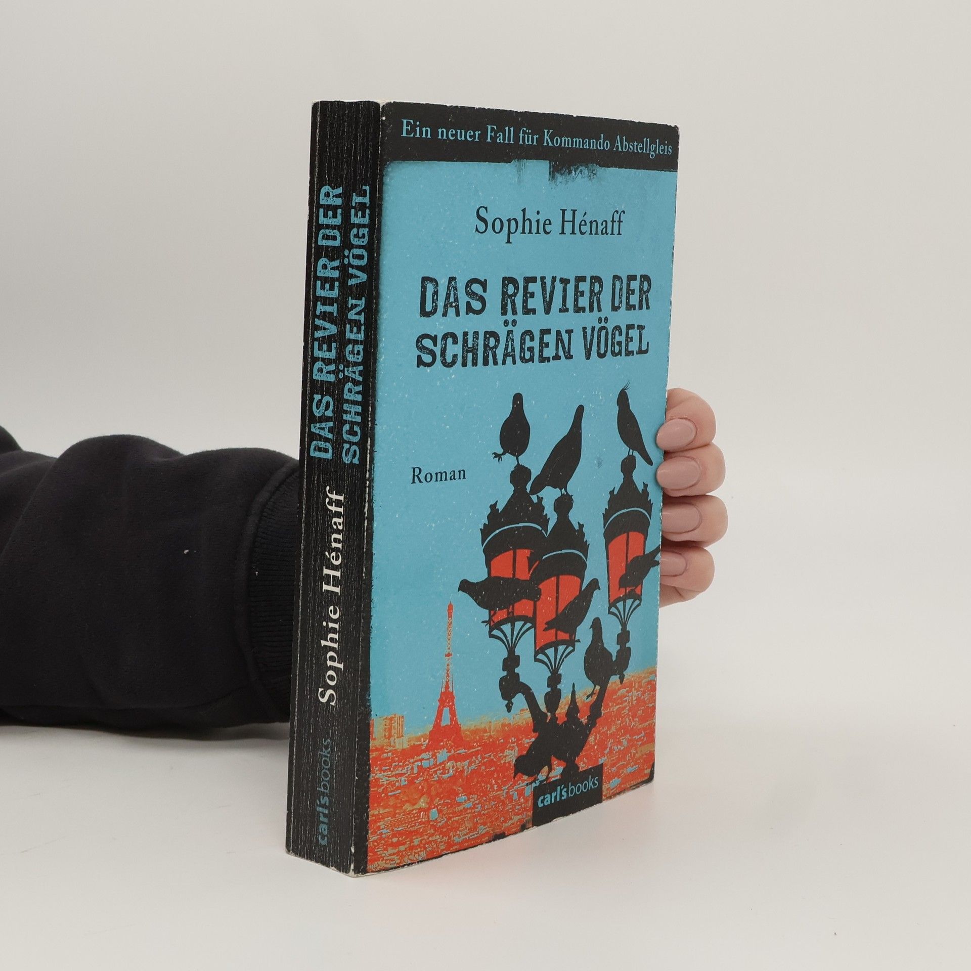 Sophie Hénaff Das Revier der schrägen Vögel