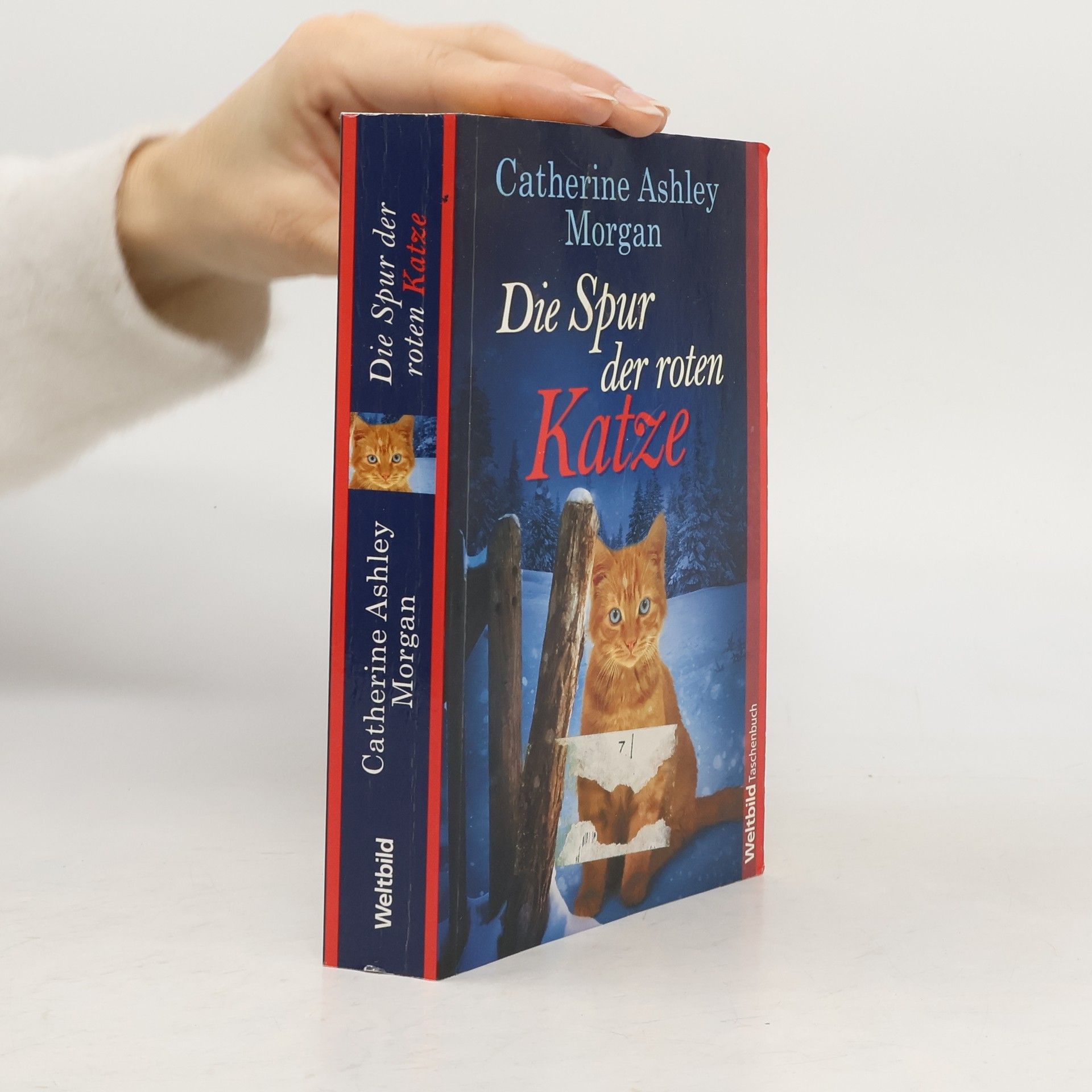 Catherine Ashley Morgan Die Spur der roten Katze