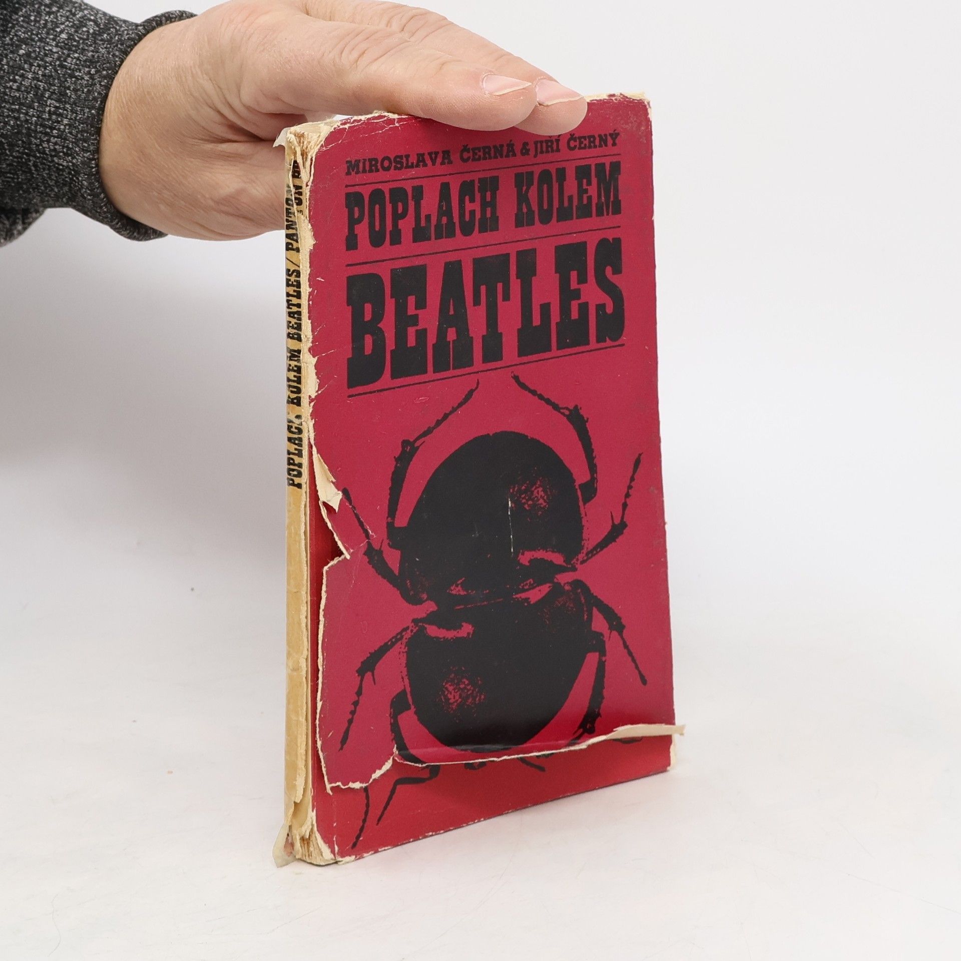 Miroslava Černá Poplach kolem Beatles