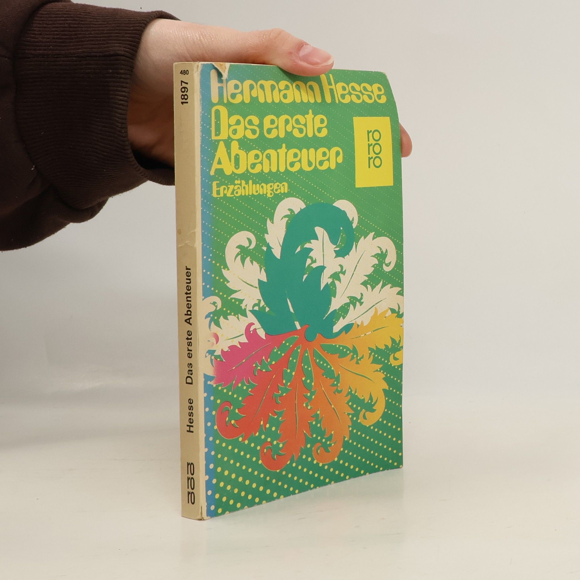 Hermann Hesse Das erste Abenteuer