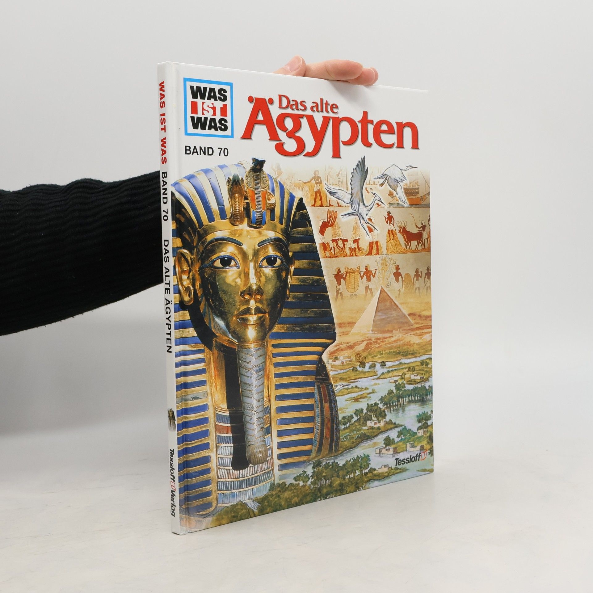 Dieter Kurth Das Alte Ägypten