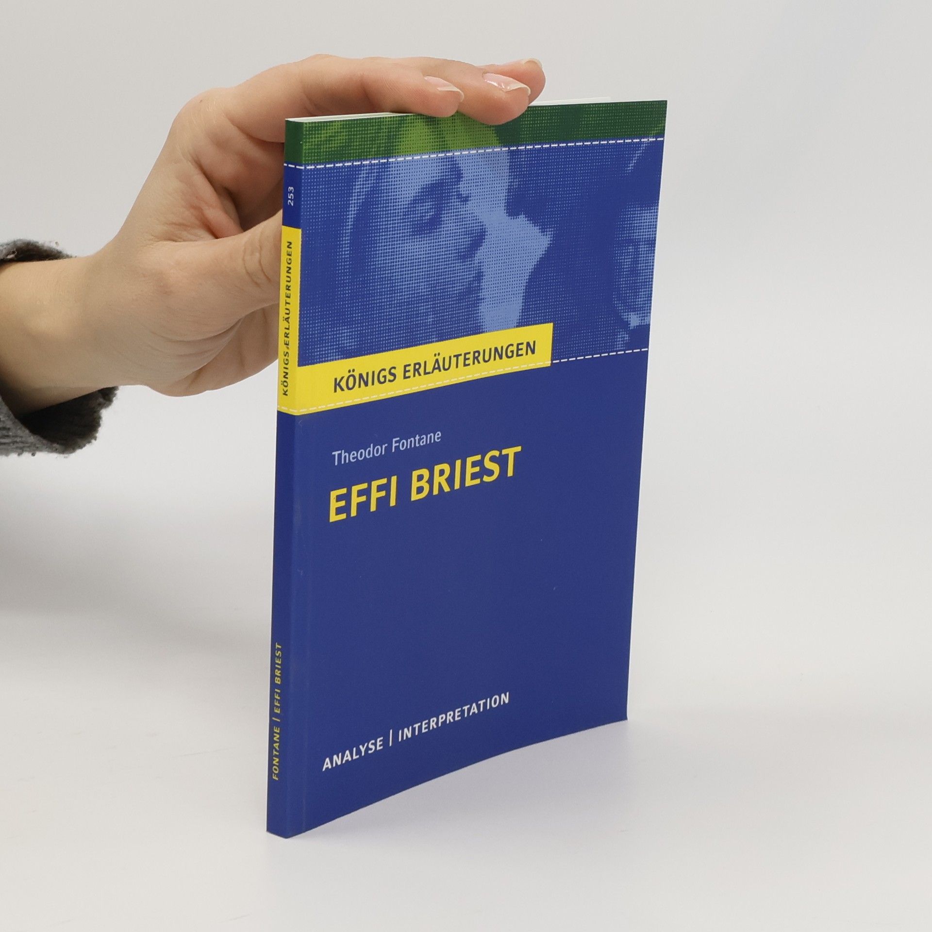 Textanalyse und Interpretation zu Theodor Fontane, Effi Briest