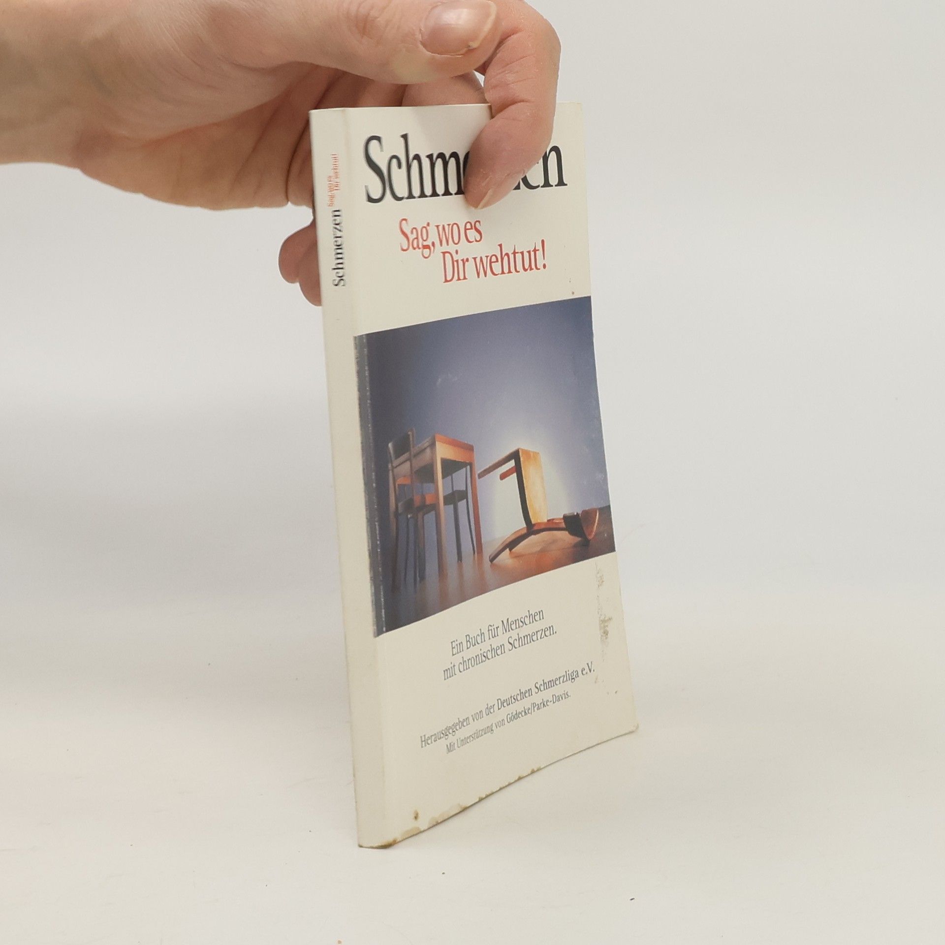 Collectif d'auteurs Schmerzen. Sag, wo es Dir wehtut!