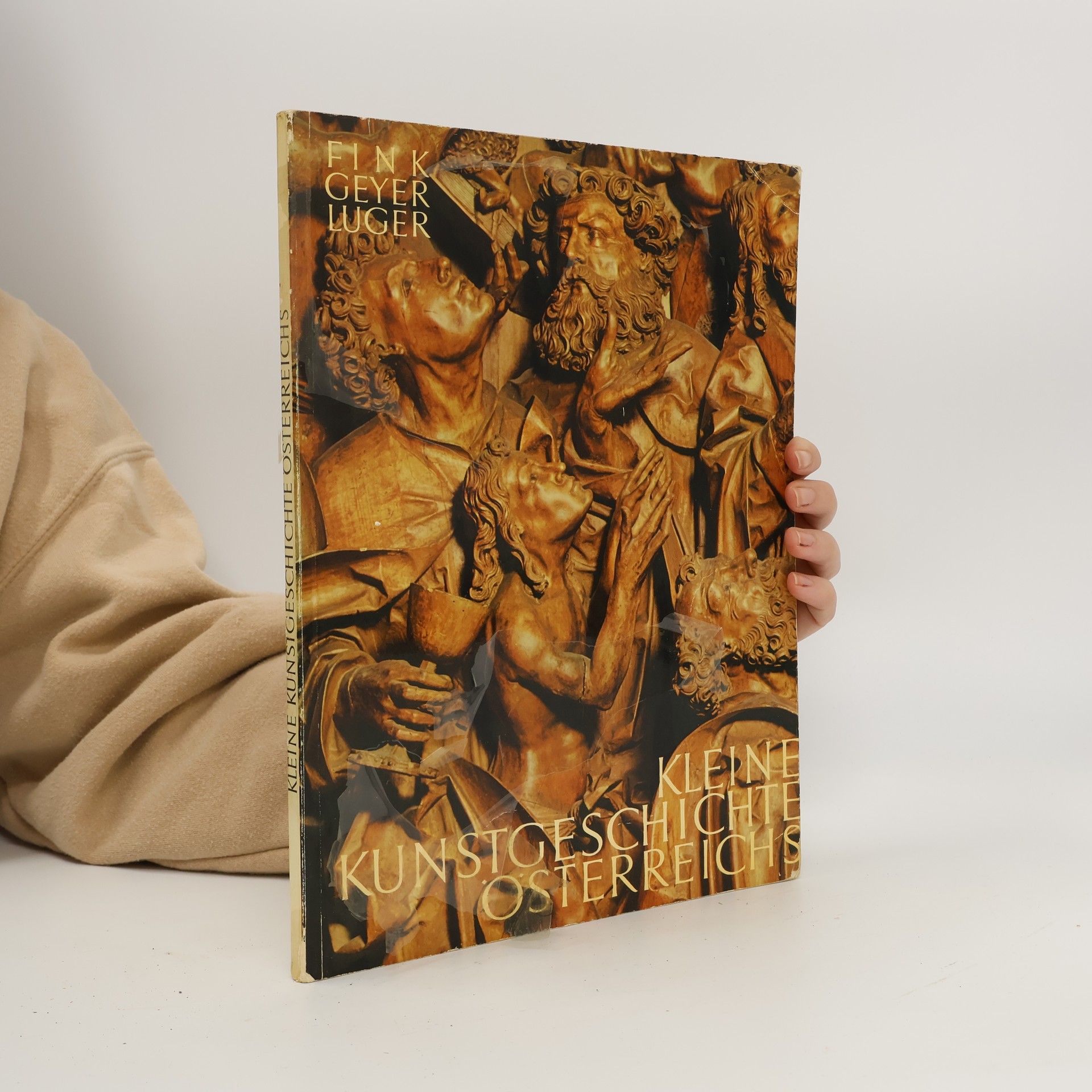 Roderich Geyer Kleine Kunstgeschichte Österreichs