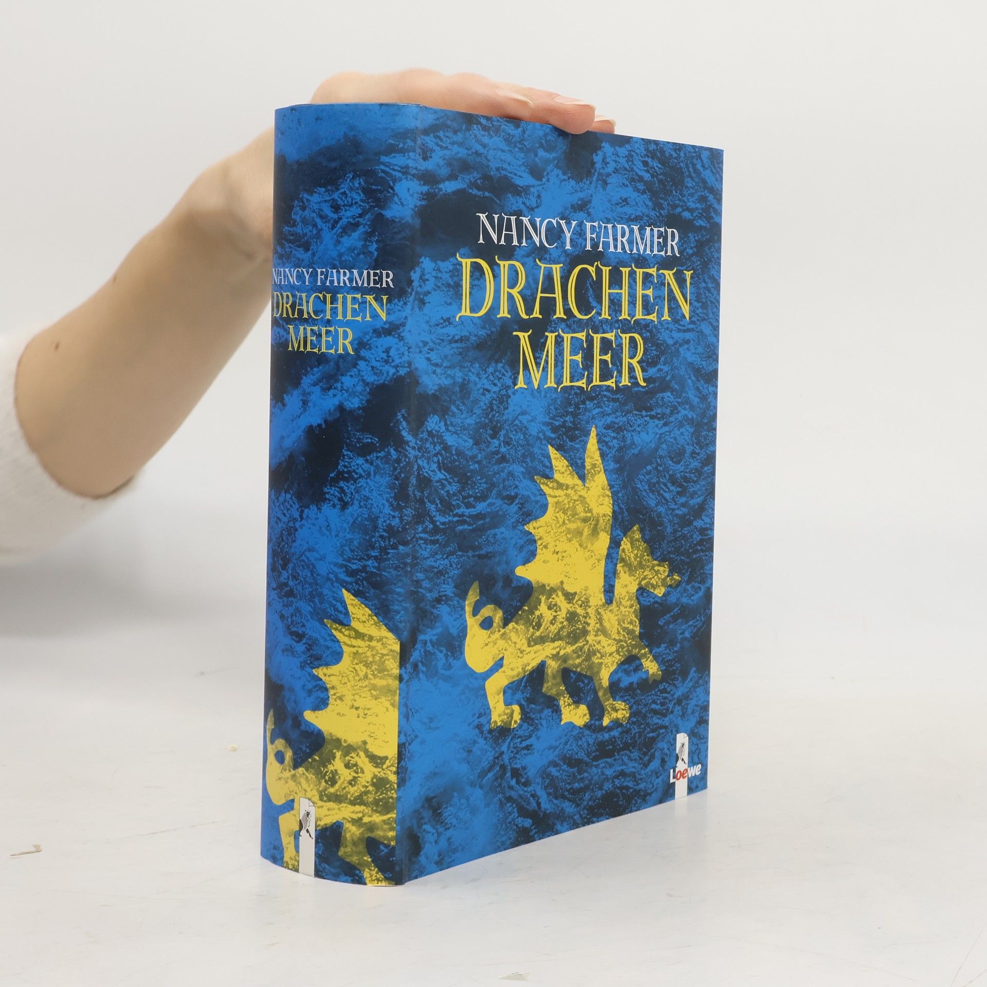Nancy Farmer Drachen Meer