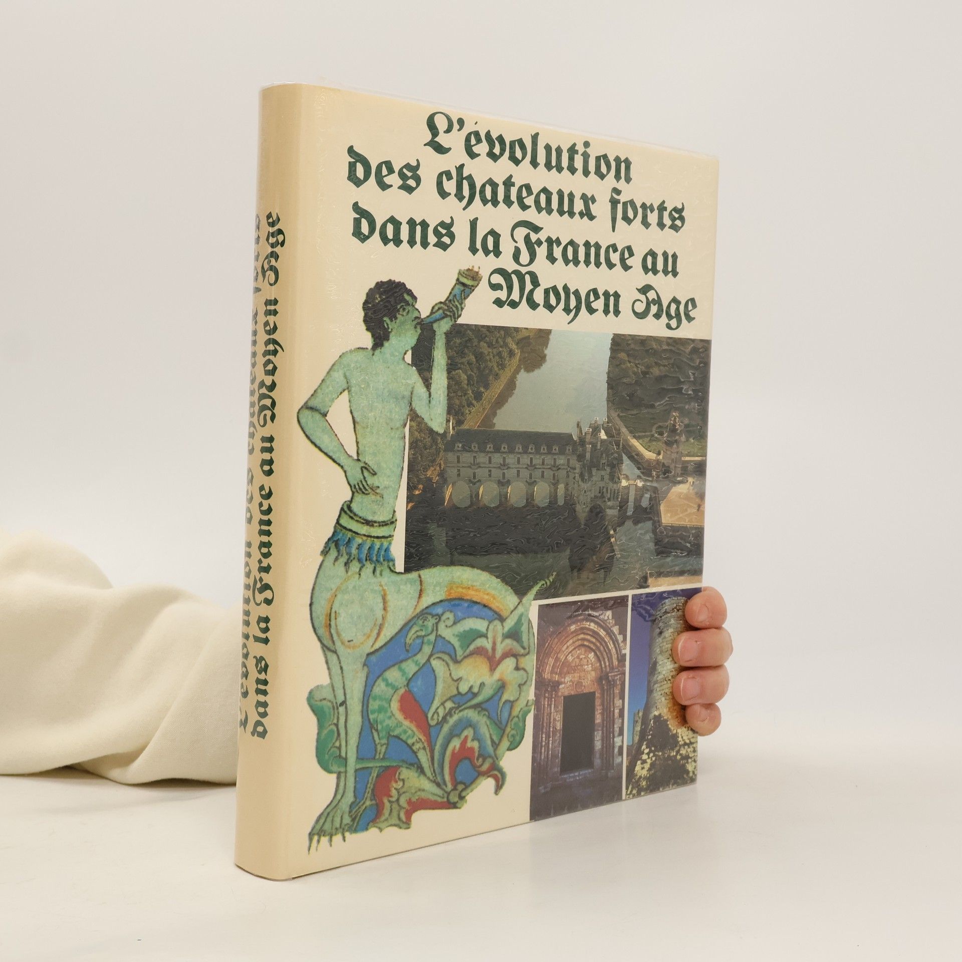 Collectif d'auteurs Les châteaux forts dans la France au moyen âge