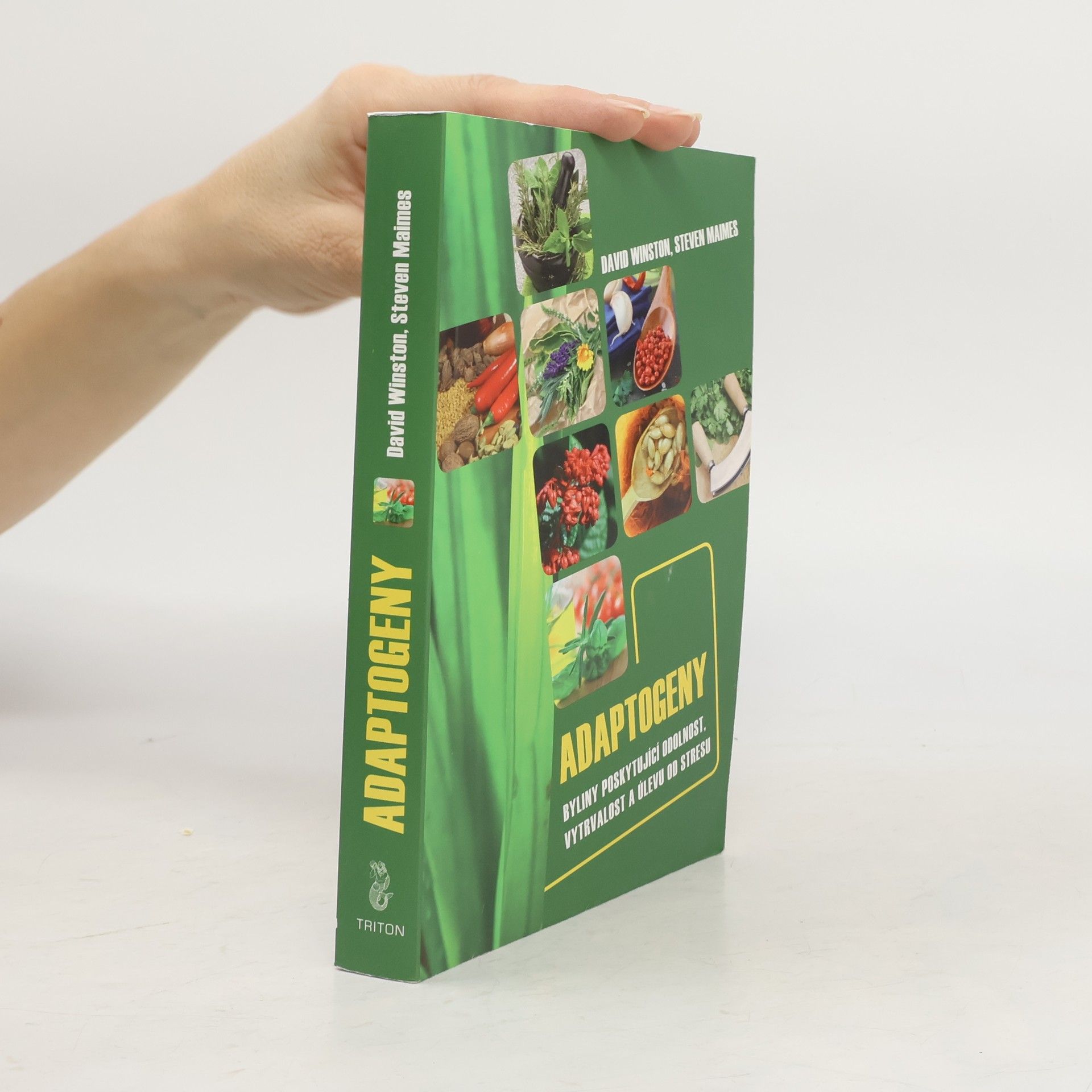 Adaptogeny. Byliny poskytující odolnost, vytrvalost a úlevu od stresu