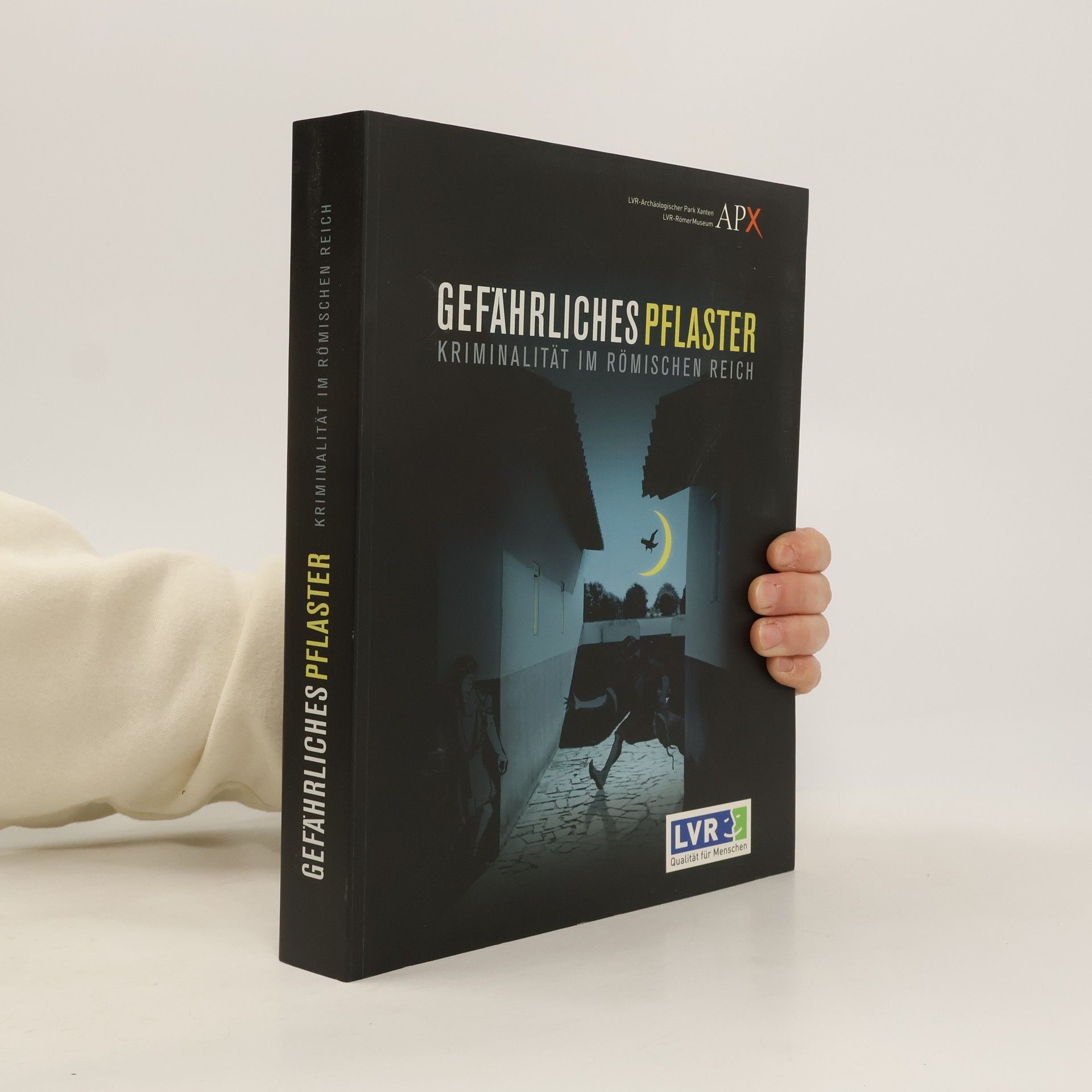 Autores varios Gefährliches Pflaster