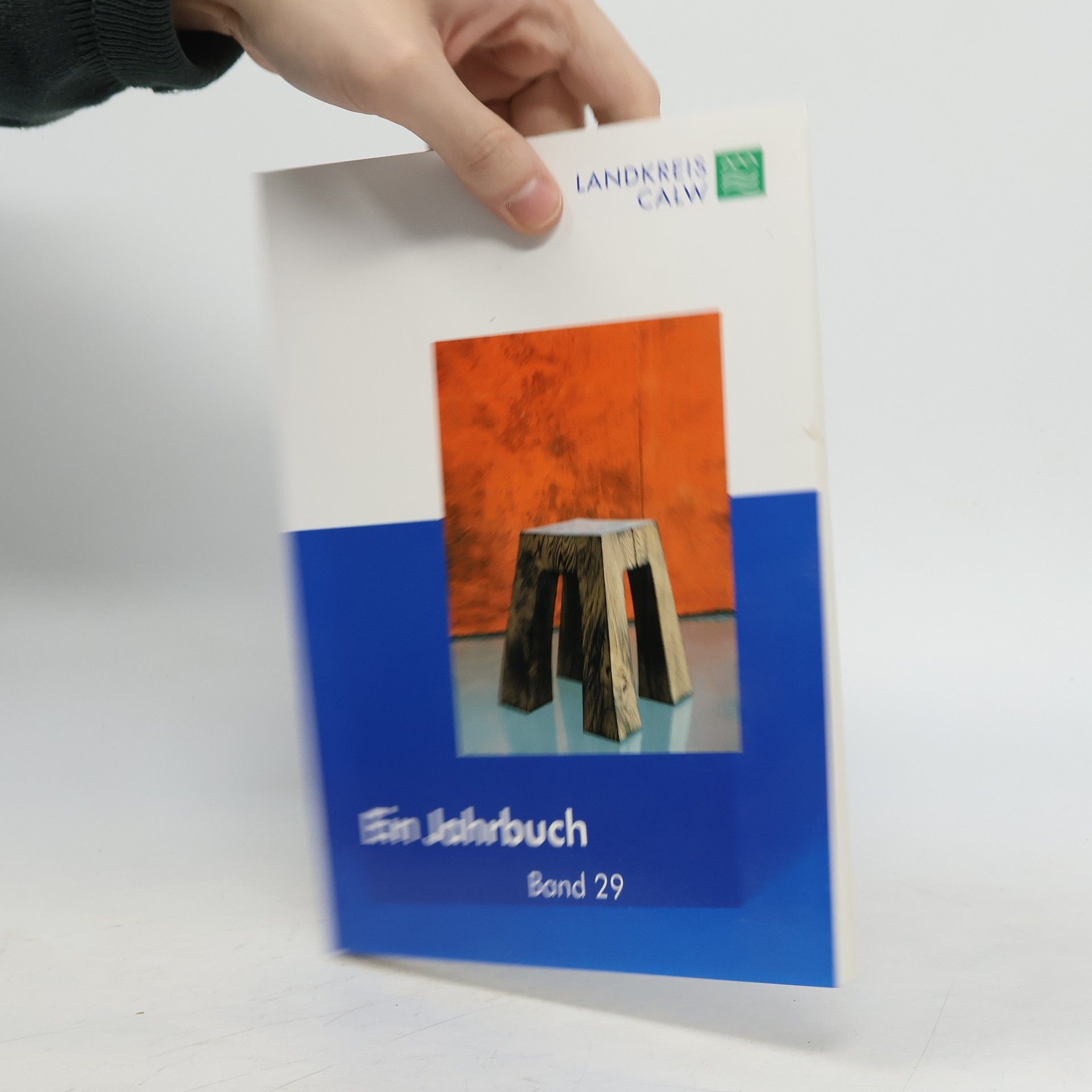 Autores varios Ein Jahrbuch 29