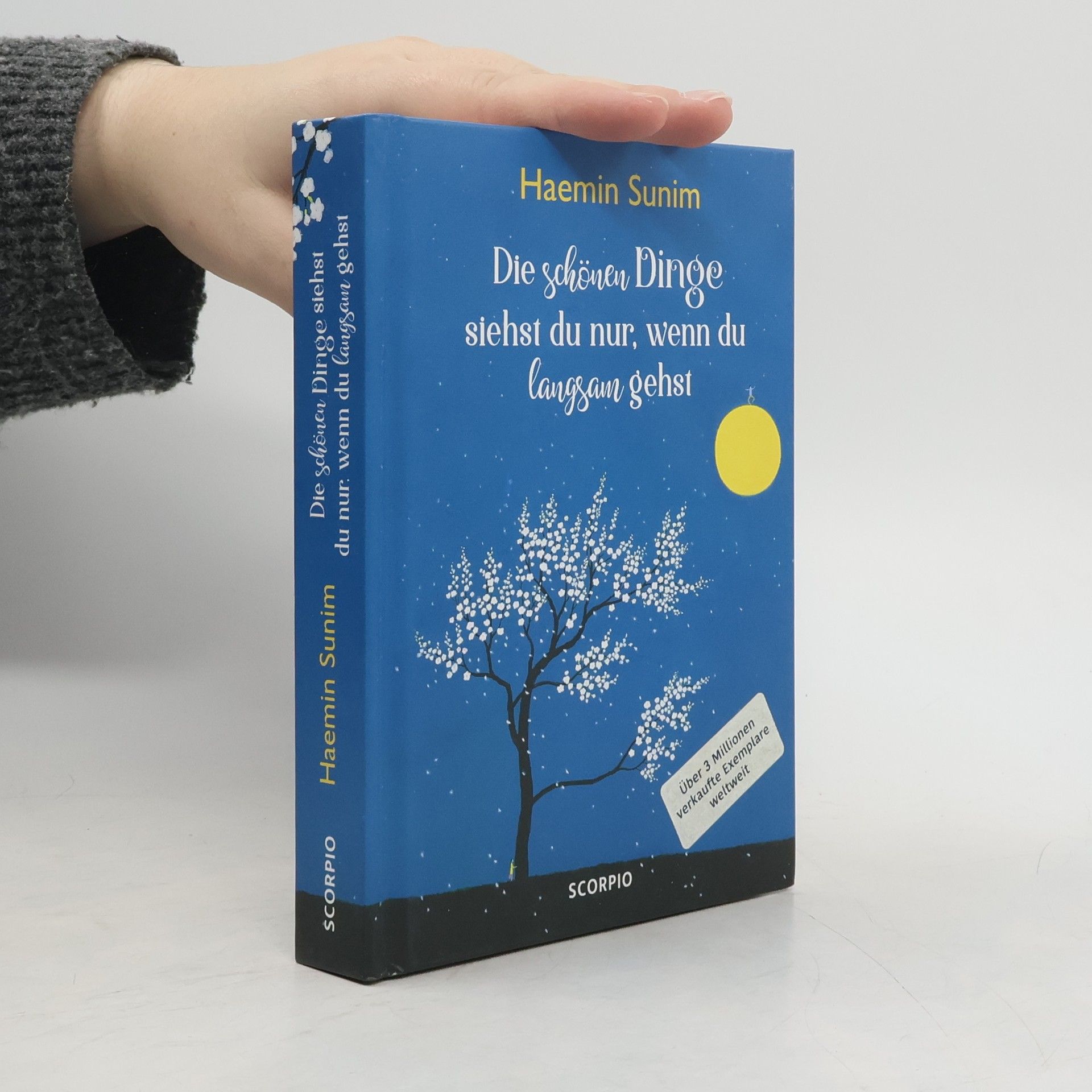 Haemin Die schönen Dinge siehst du nur, wenn du langsam gehst